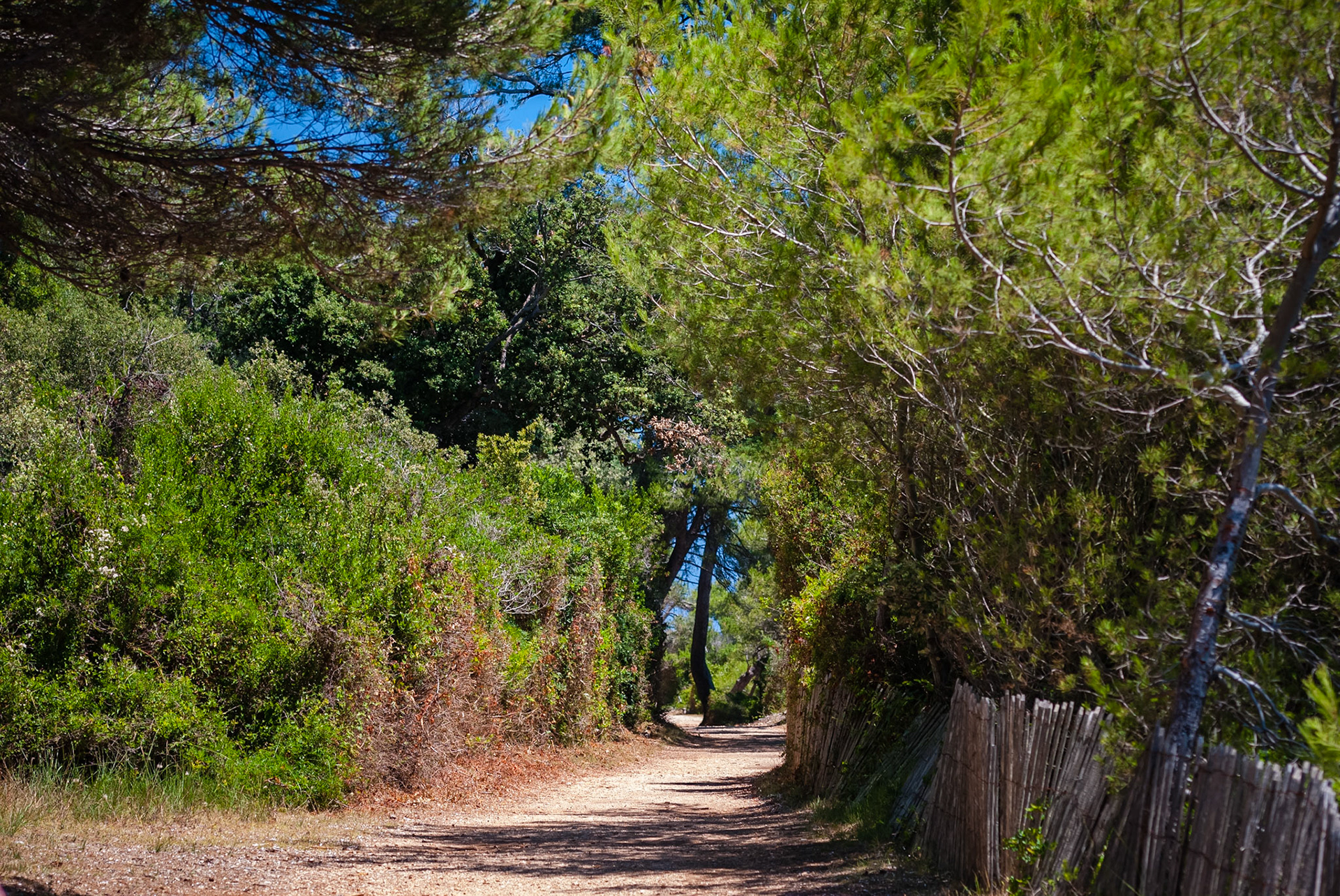 Ile Sainte-Marguerite