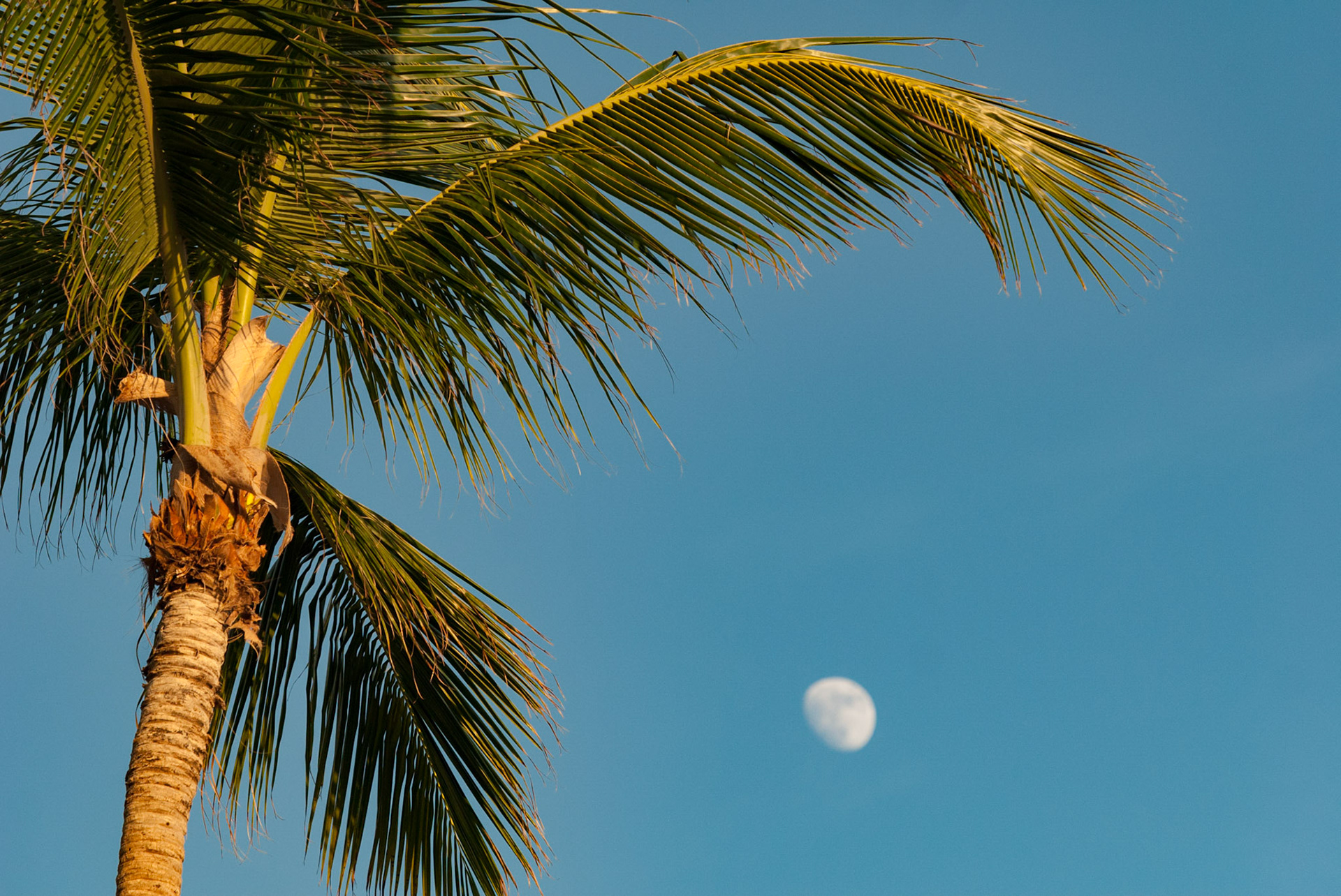 Club Med Punta Cana, République Dominicaine