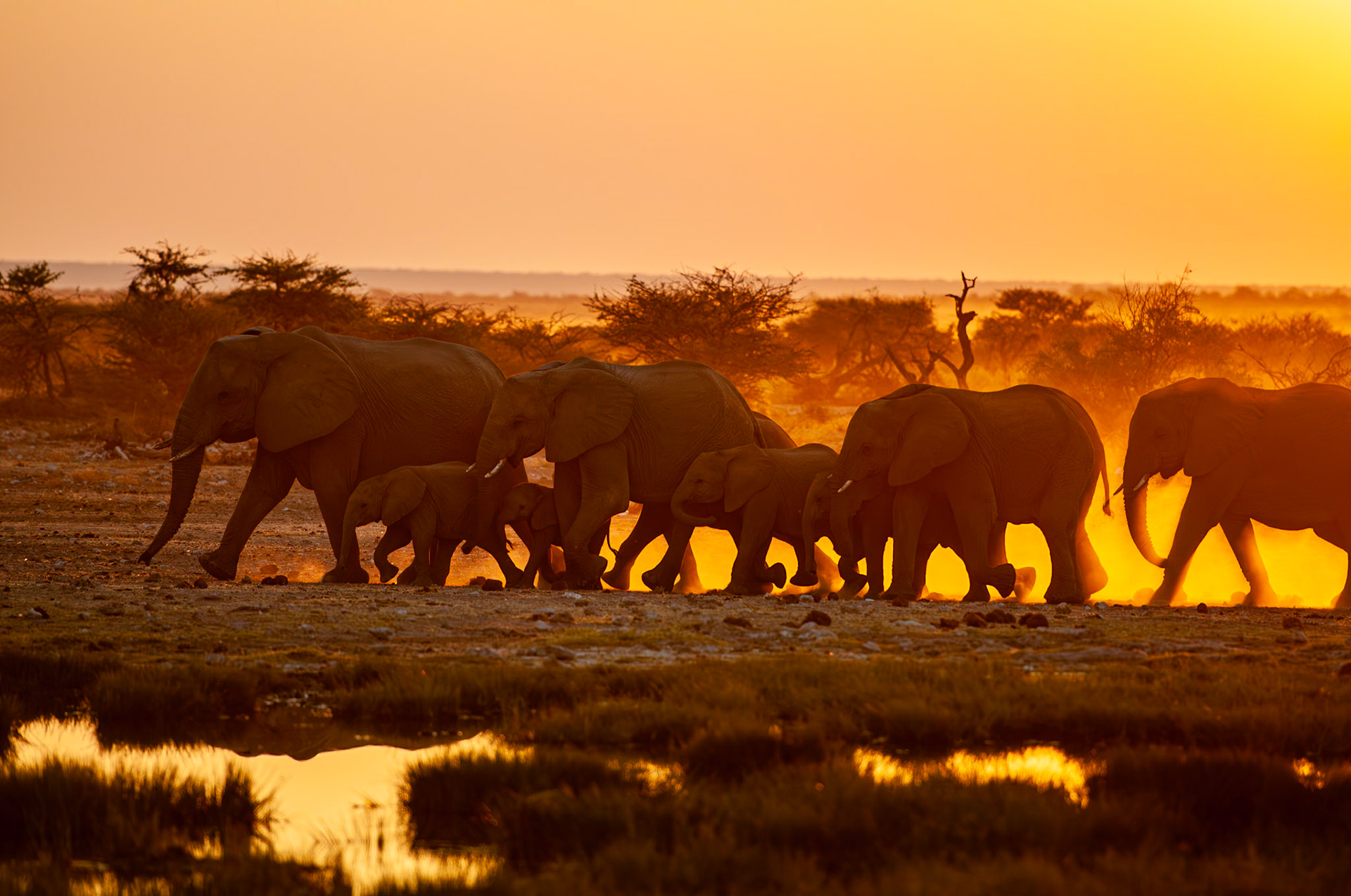 Namutoni, Etosha Park