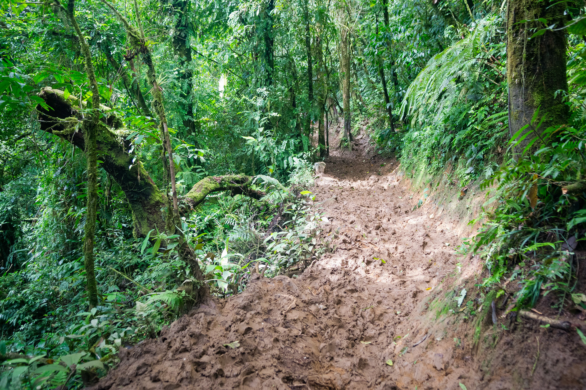 Parque National Volcan Tenorio