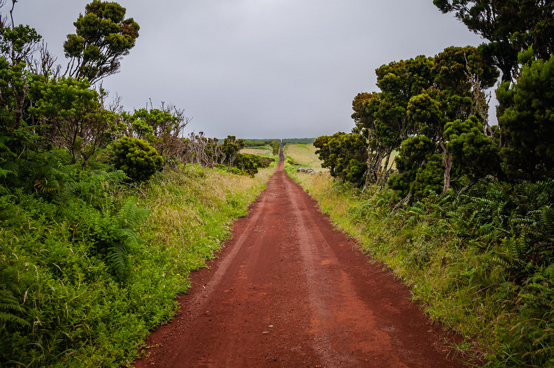 Ponta dos Rosais, São Jorge