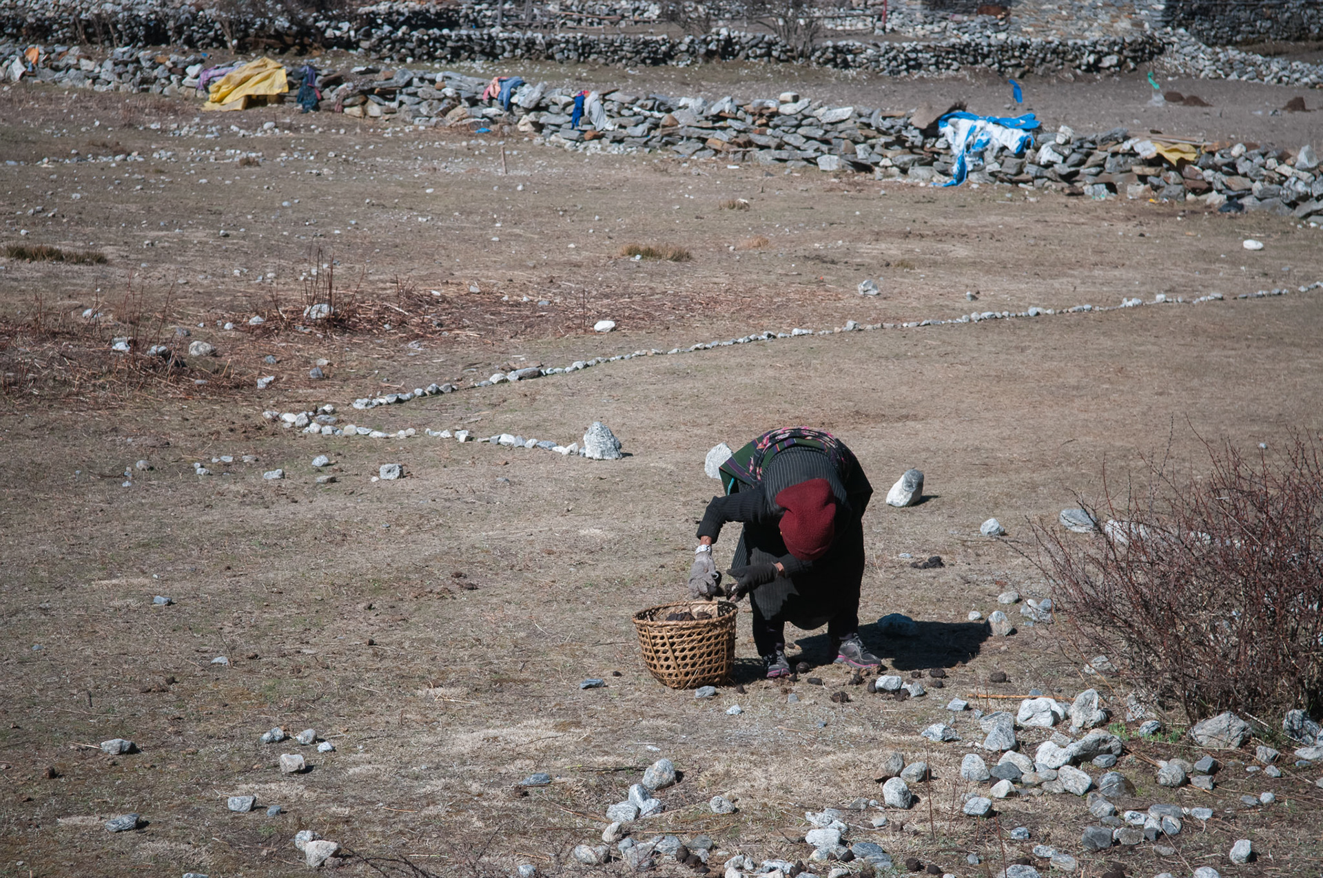 Entre Kyanjin Gumba (3830m) et Langtang (3430m)