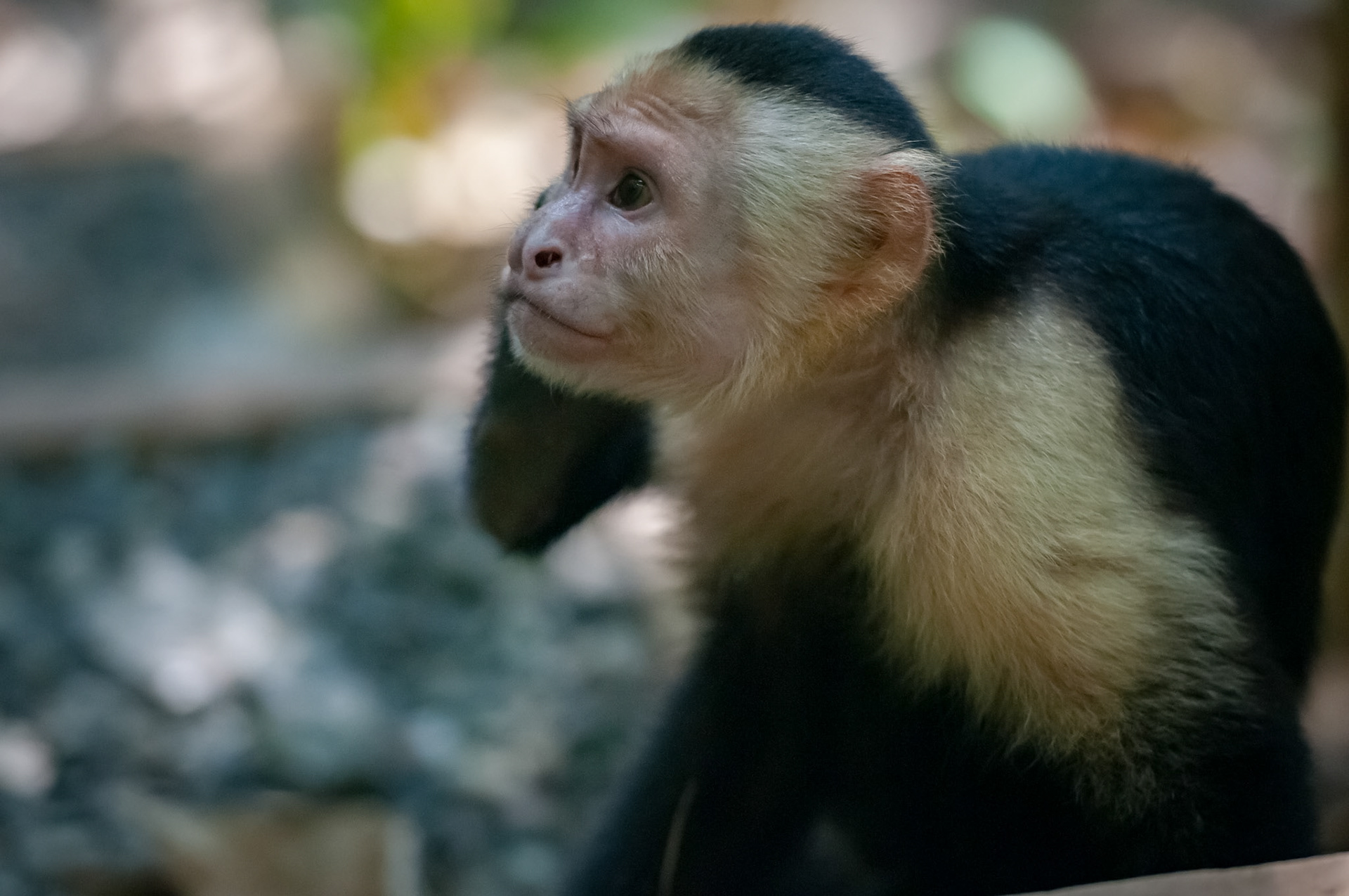 Parque Nacional Manuel Antonio