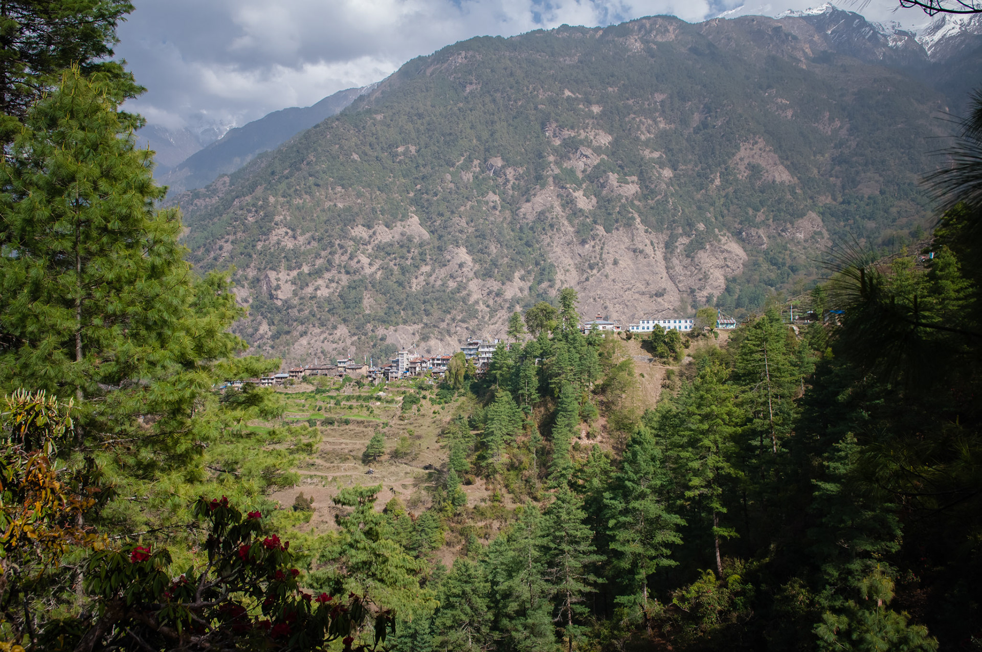 Entre Dhunche (1960m) et Thulo Syabru (2210m)