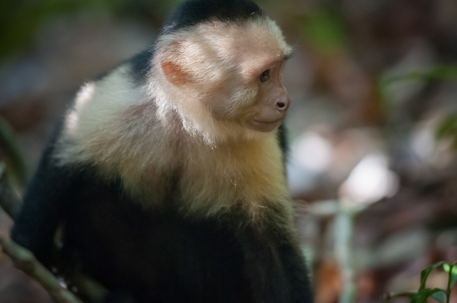 Parque Nacional Manuel Antonio
