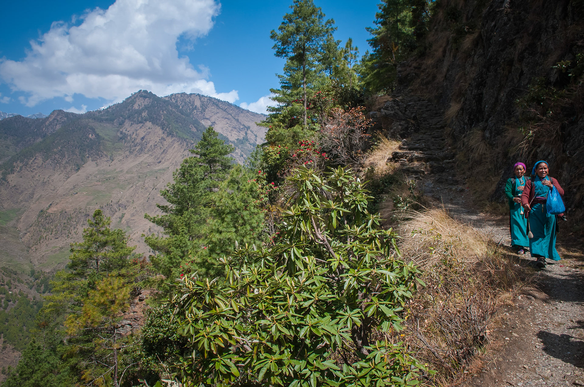 Entre Dhunche (1960m) et Thulo Syabru (2210m)