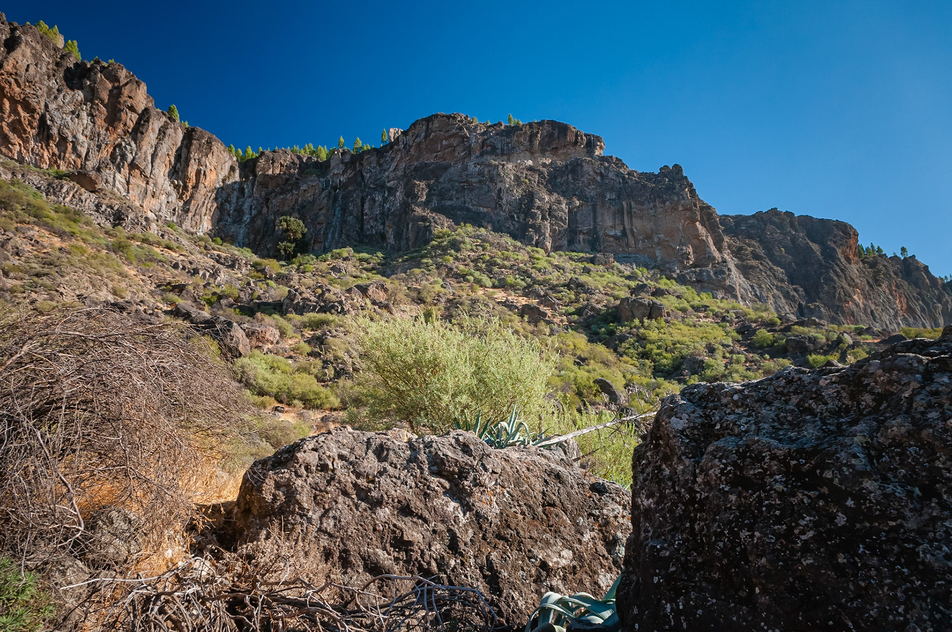 Mirador de Tejeda, Gran Canaria