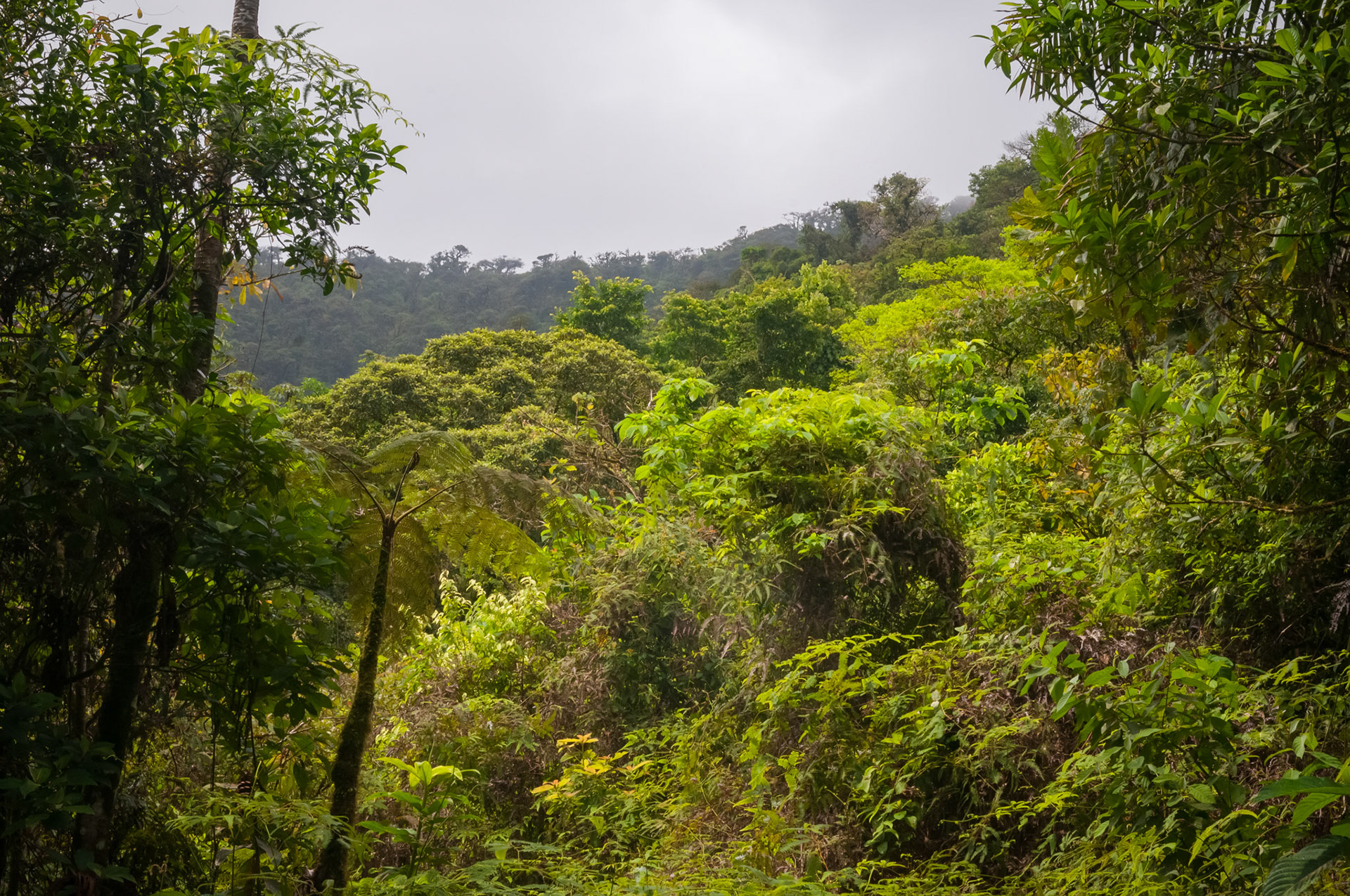 Parque National Volcan Tenorio