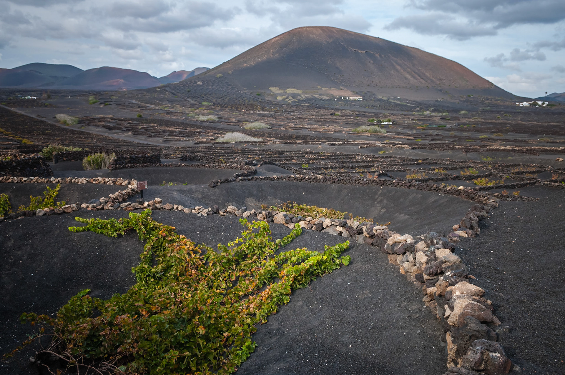 La Geria, Lanzarote