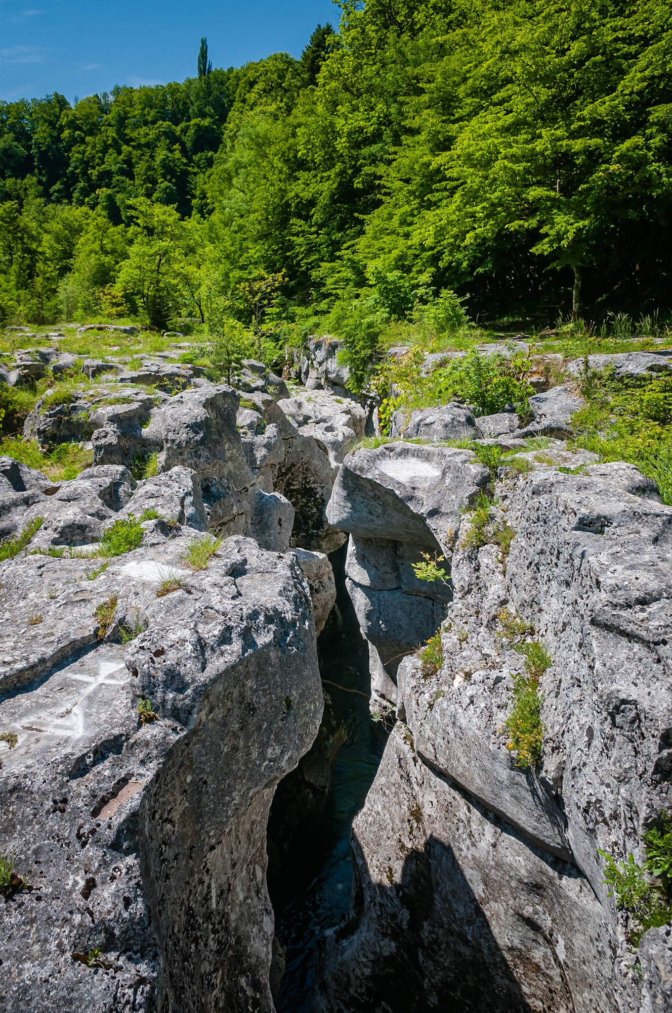 Les pertes de la Valserine, France