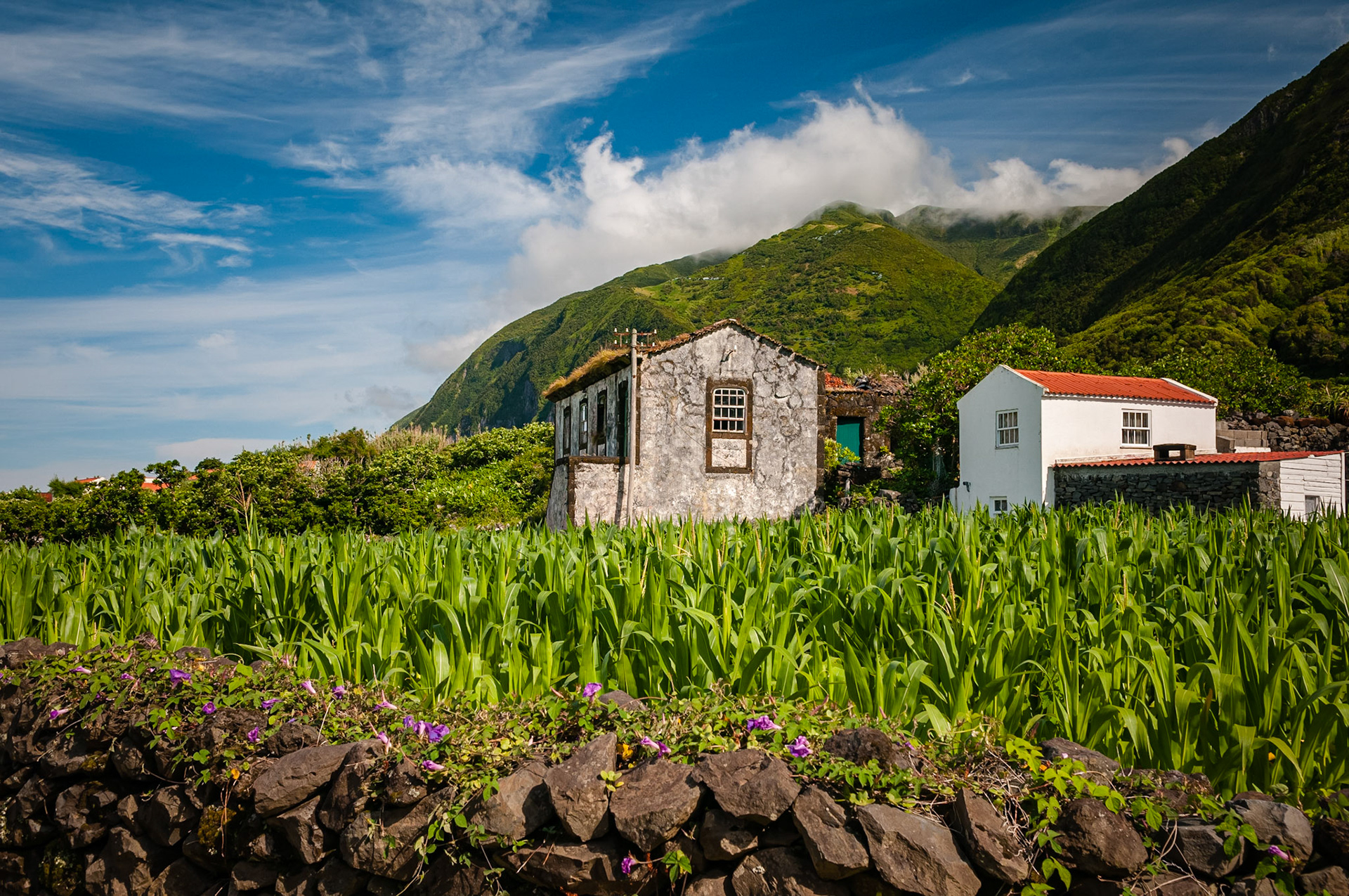 Fajã da Caldeira de Santo Cristo, São Jorge