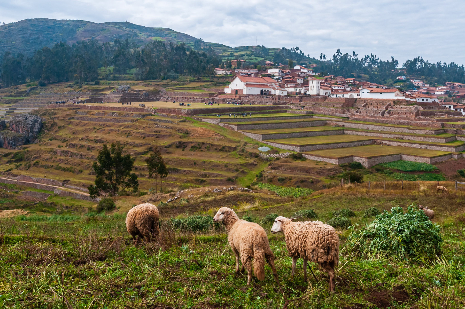Atelier de tissage, Chinchero