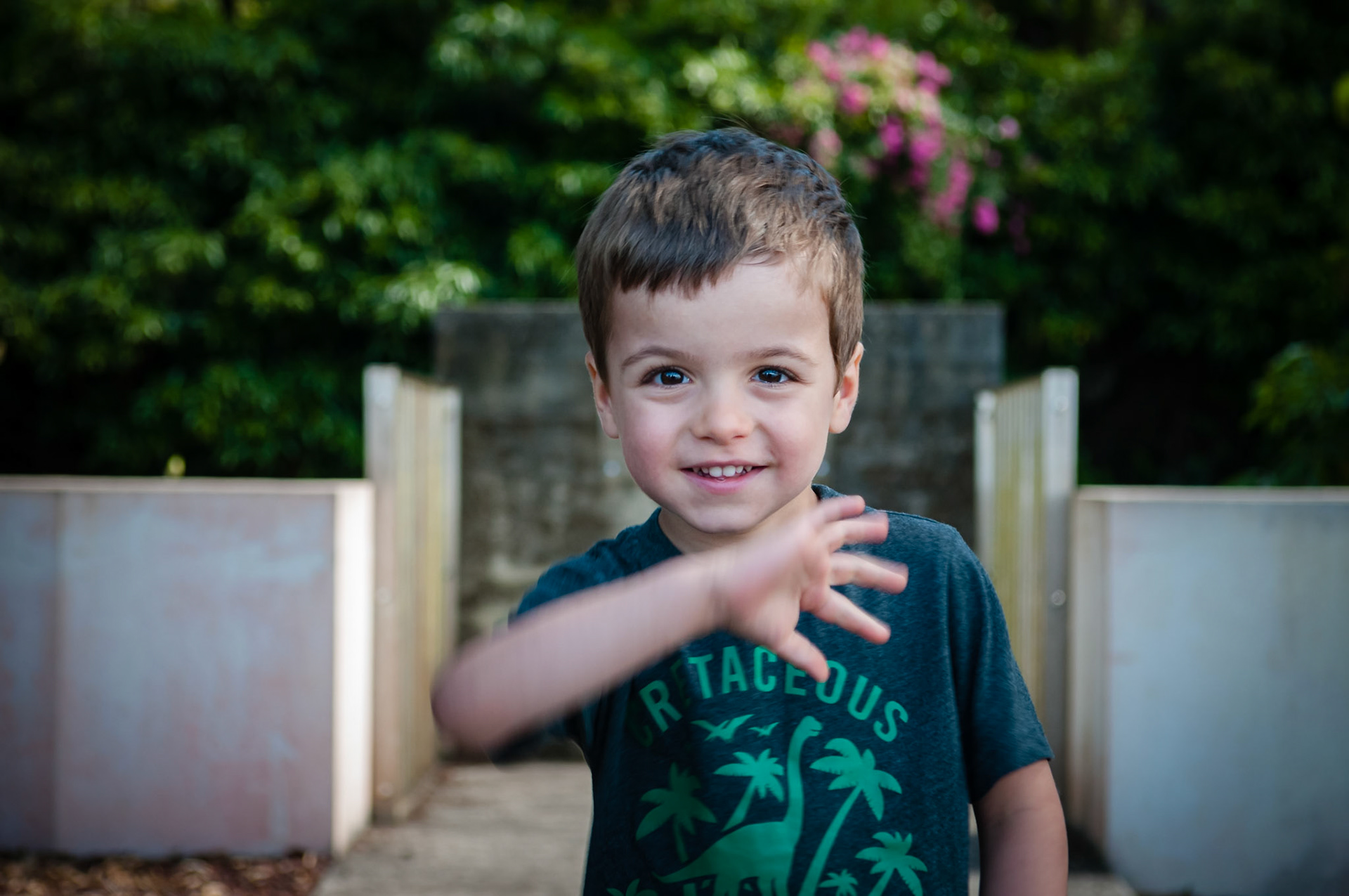 Miradouro da Terr' Alta, Pico