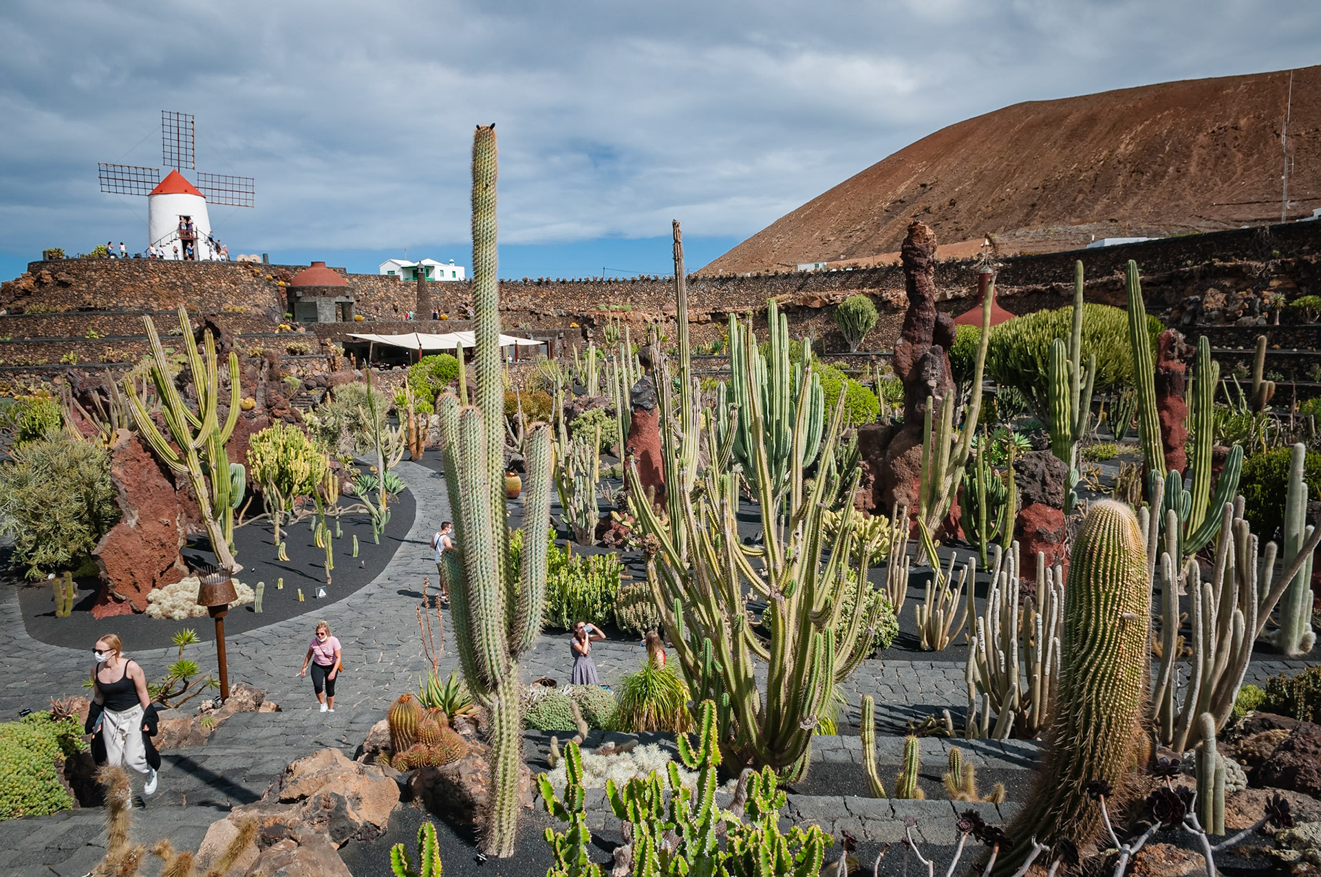Jardin de Cactus, Lanzarote
