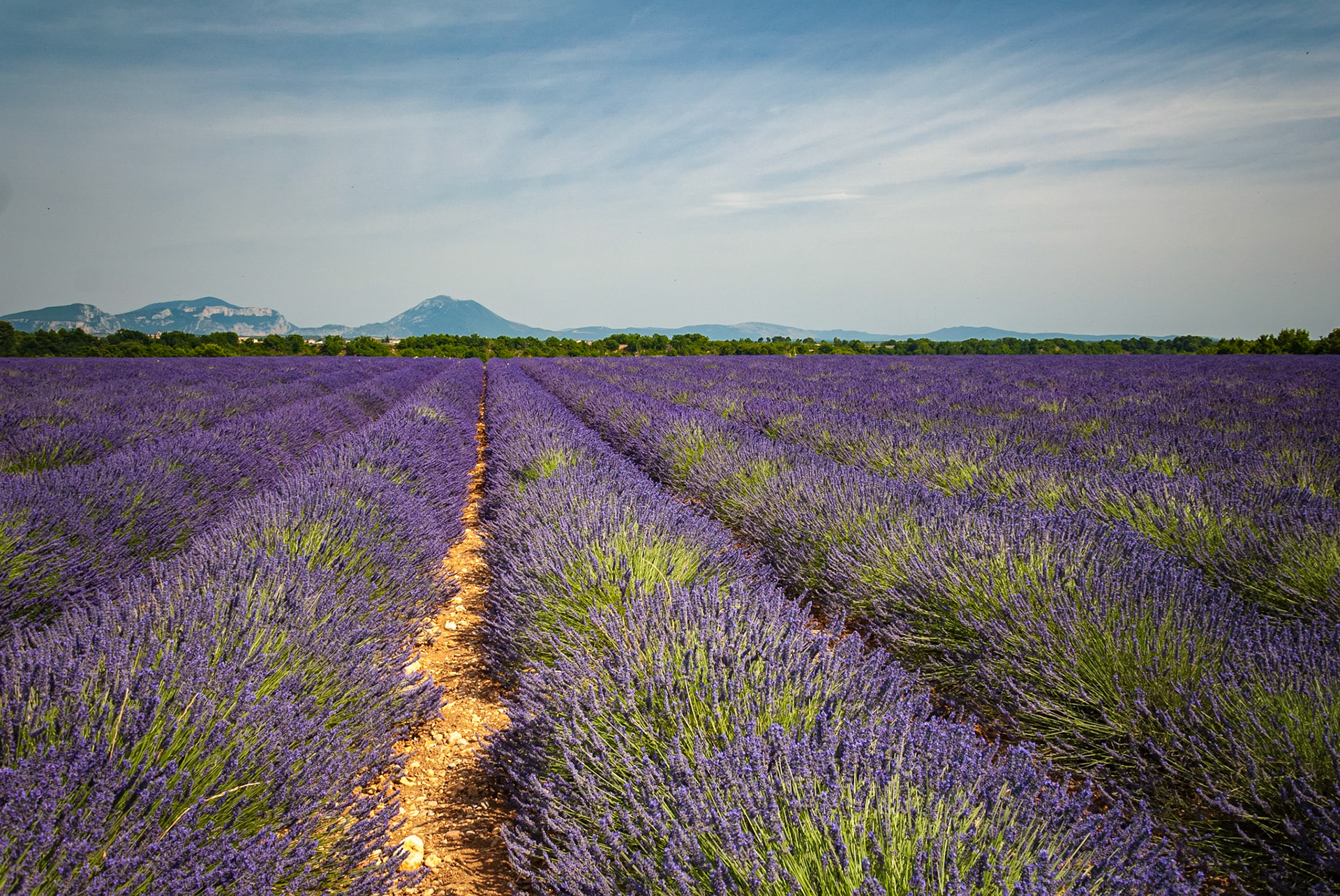 Valensole