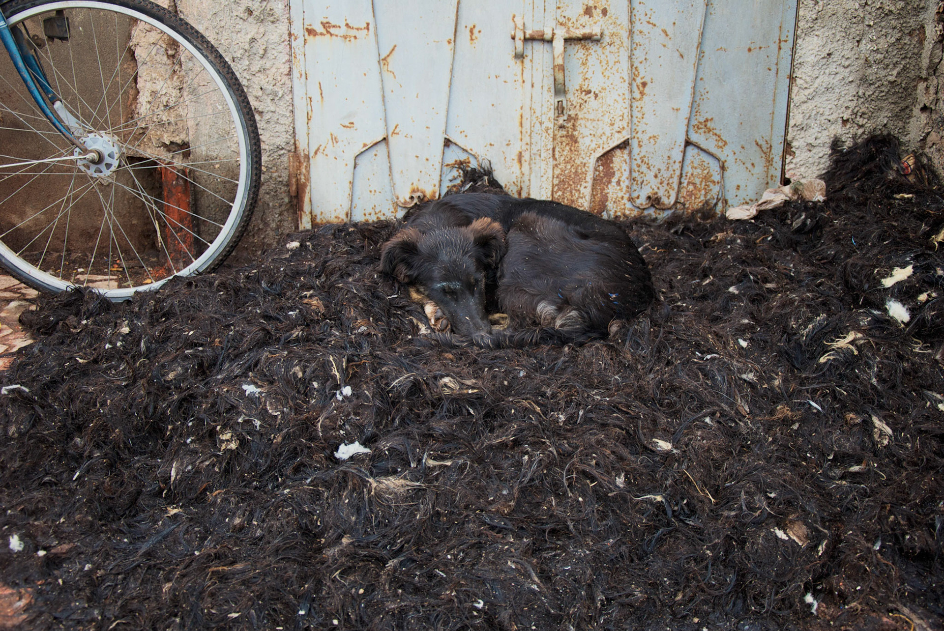 Quartier des tanneurs, Marrakech