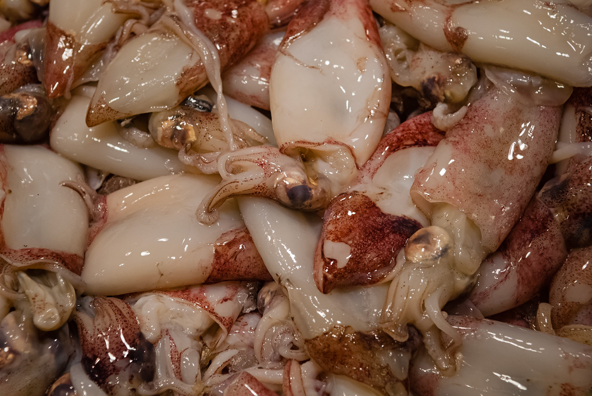 Mercat de la Boqueria, Barcelona