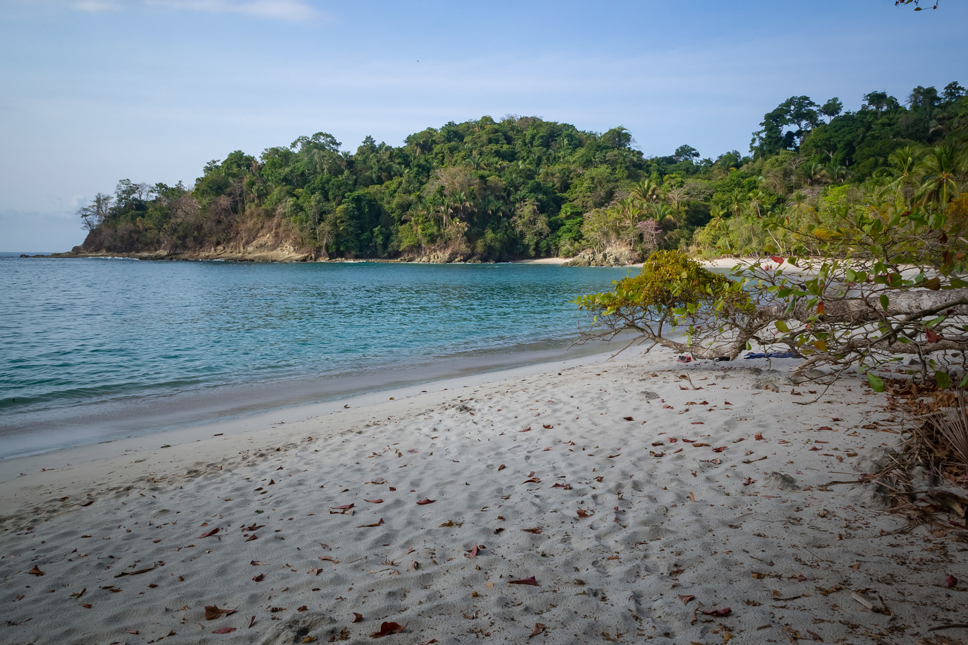 Parque Nacional Manuel Antonio