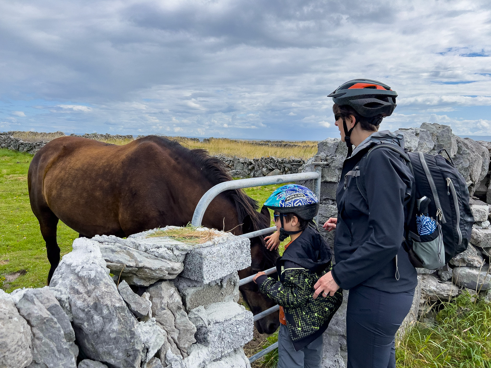 Aaran Island, County Clare