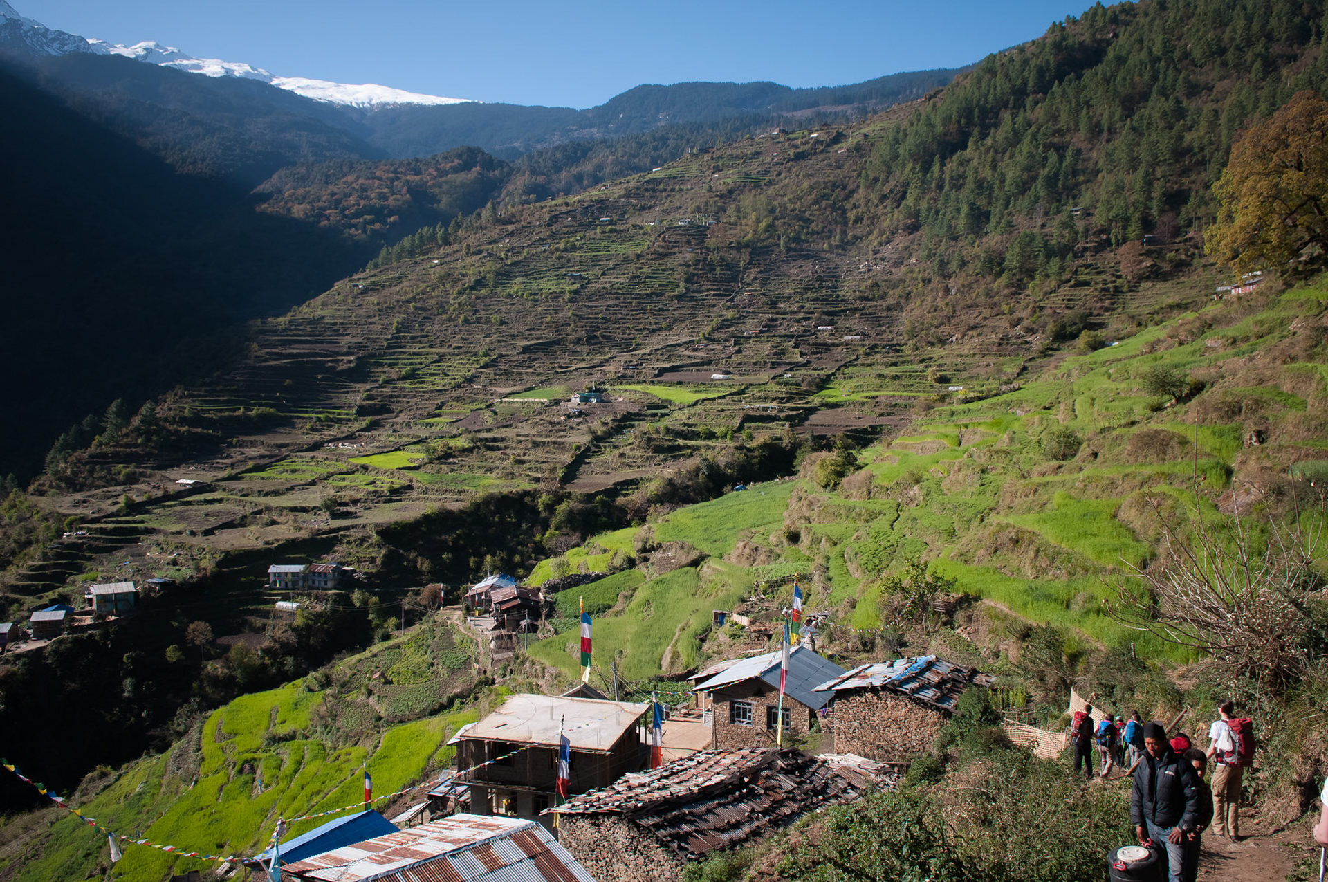 Thulo Syabru (2210m)