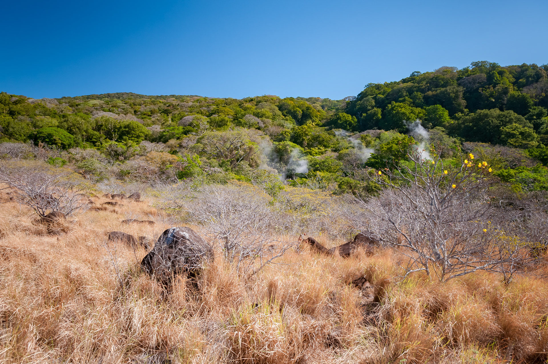 Parque National Rincon de la Vieja
