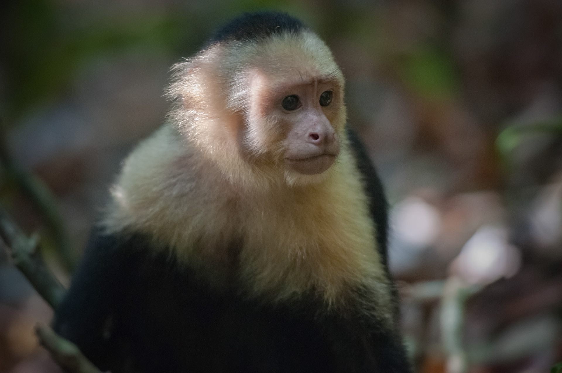 Parque Nacional Manuel Antonio