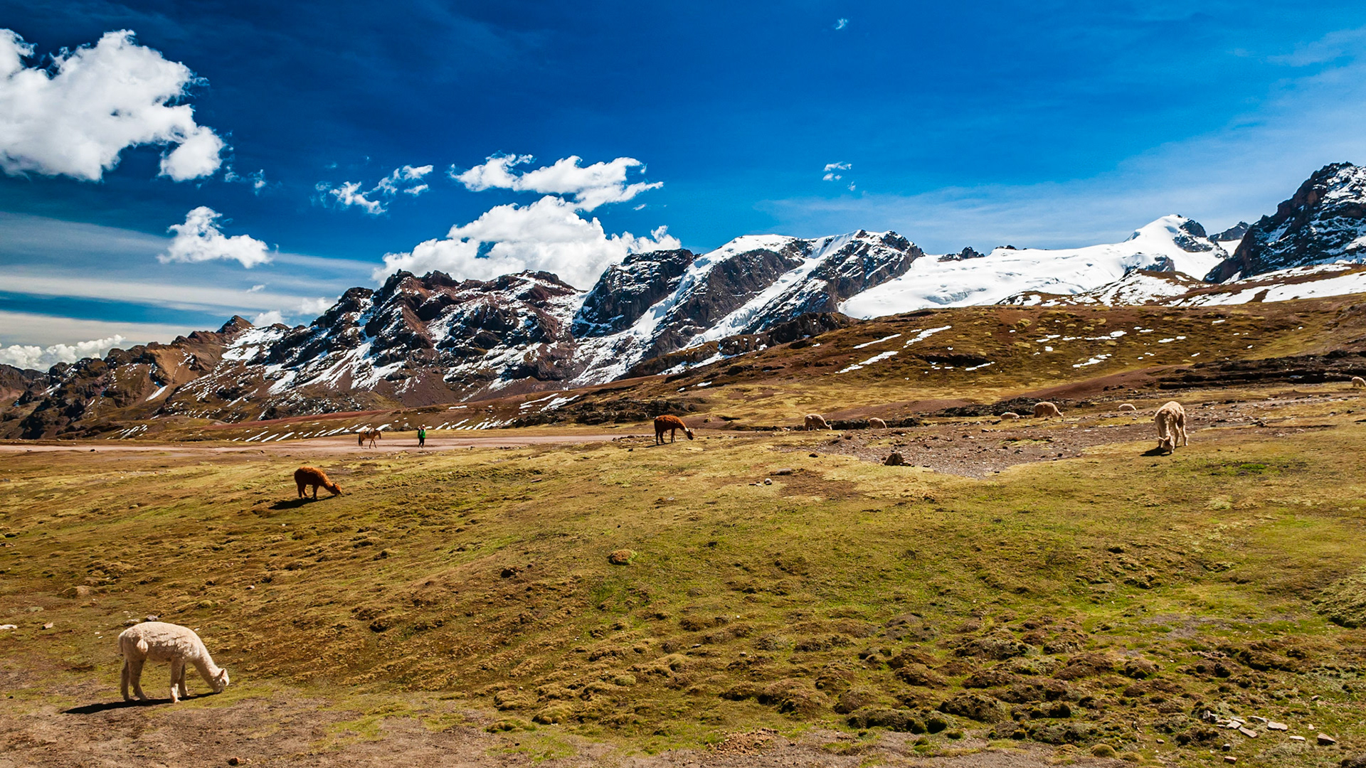 Rainbow Mountain, Vinicunca