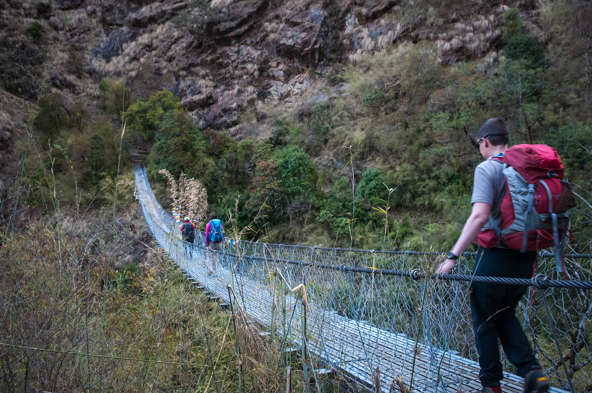 Entre Thulo Syabru (2210m) et Lama Hotel (2410m)