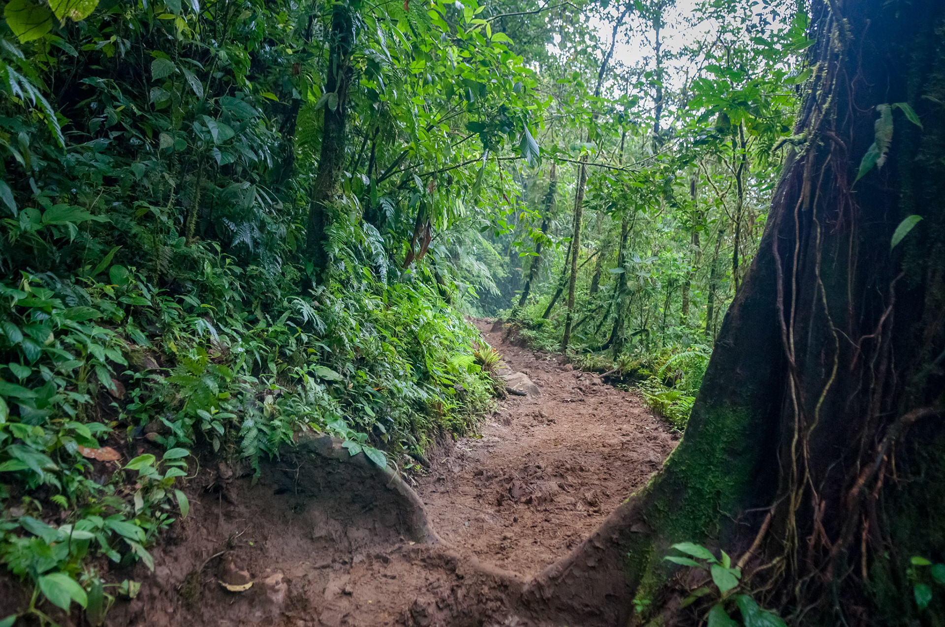 Parque National Volcan Tenorio