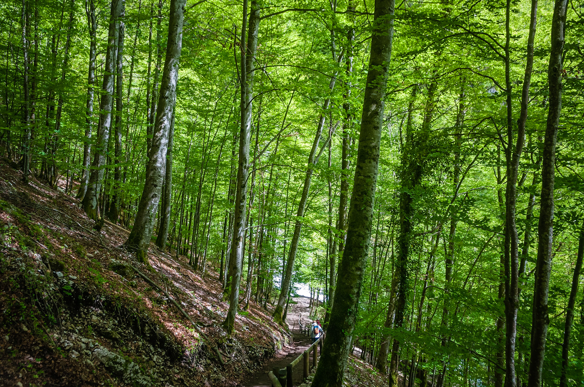 Cascades du Hérisson, France