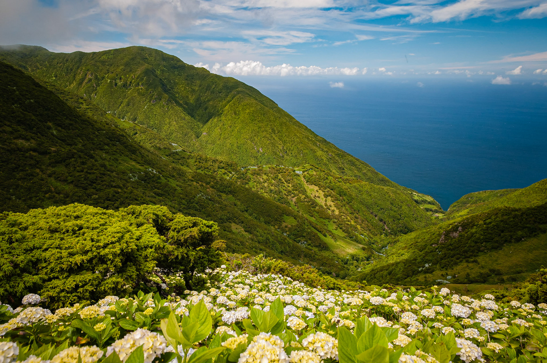 Trail Serra do Topo - Caldeira do Santo Cristo – Fajã dos Cubres, São Jorge
