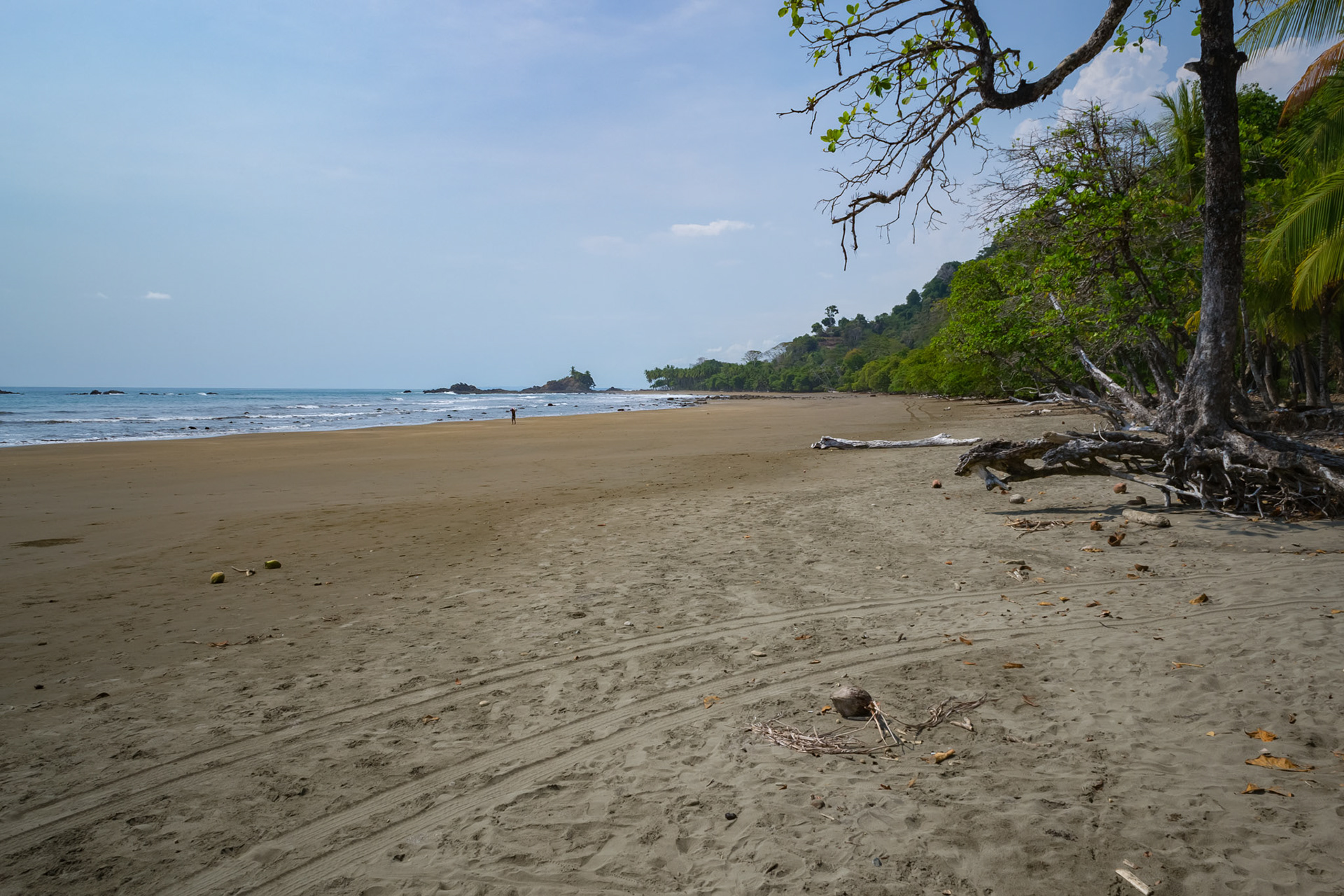 Playa Dominicalito