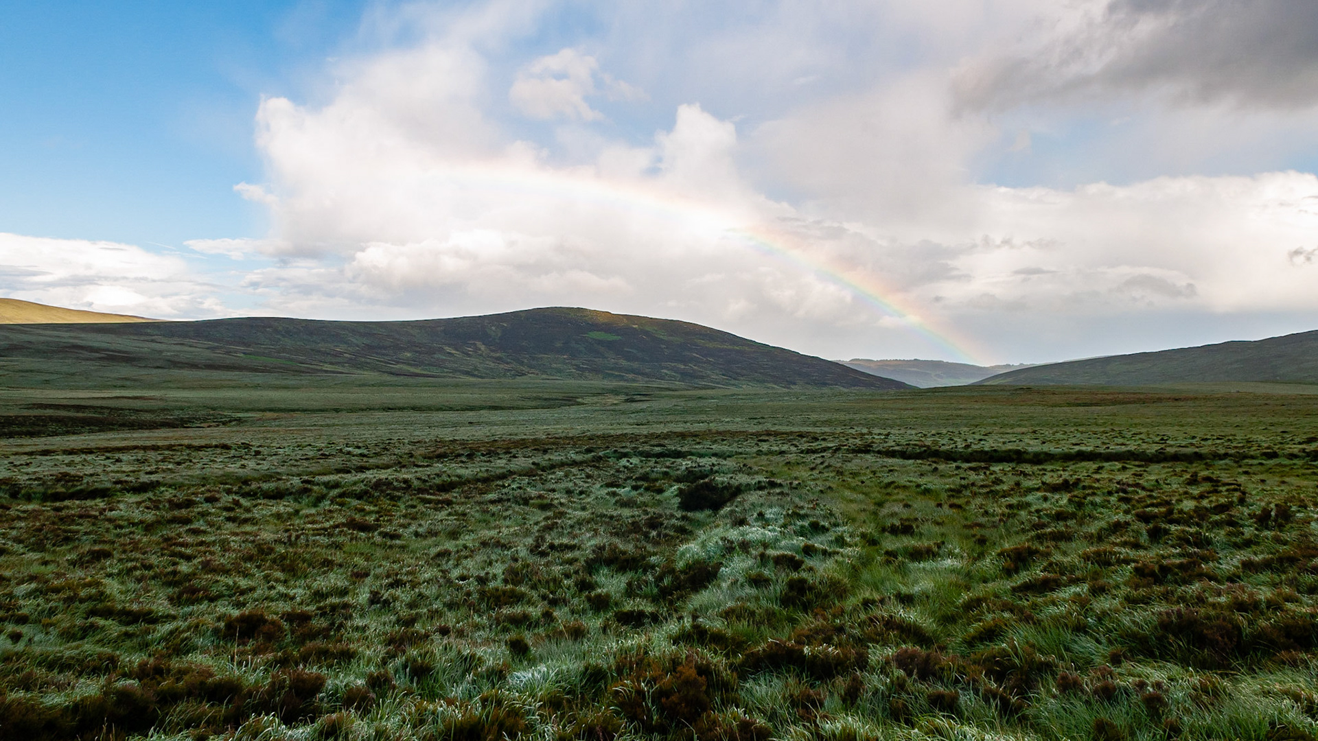 Wicklow mountains, County Wicklow