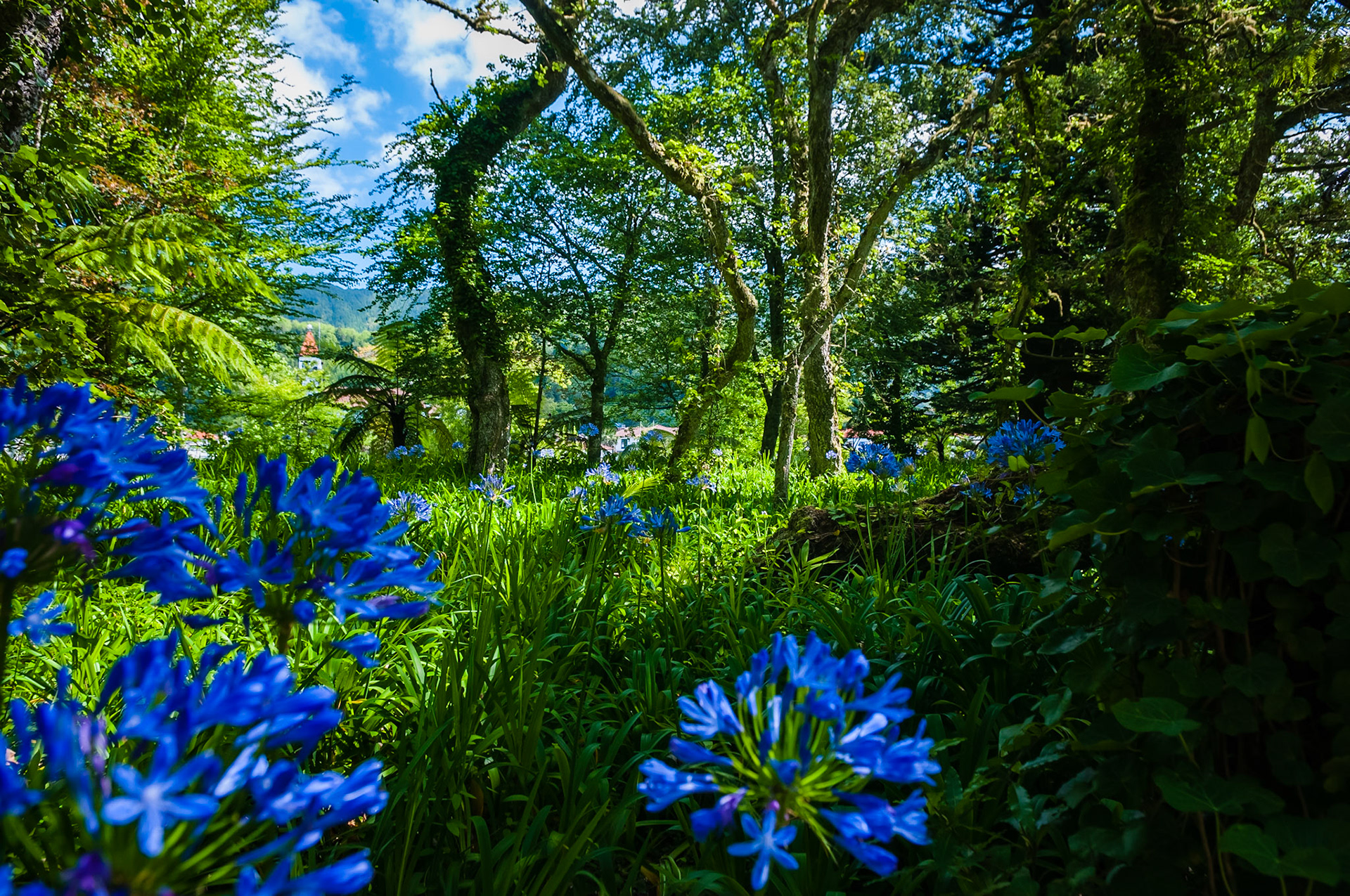 Parc Terra Nostra, Furnas, São Miguel