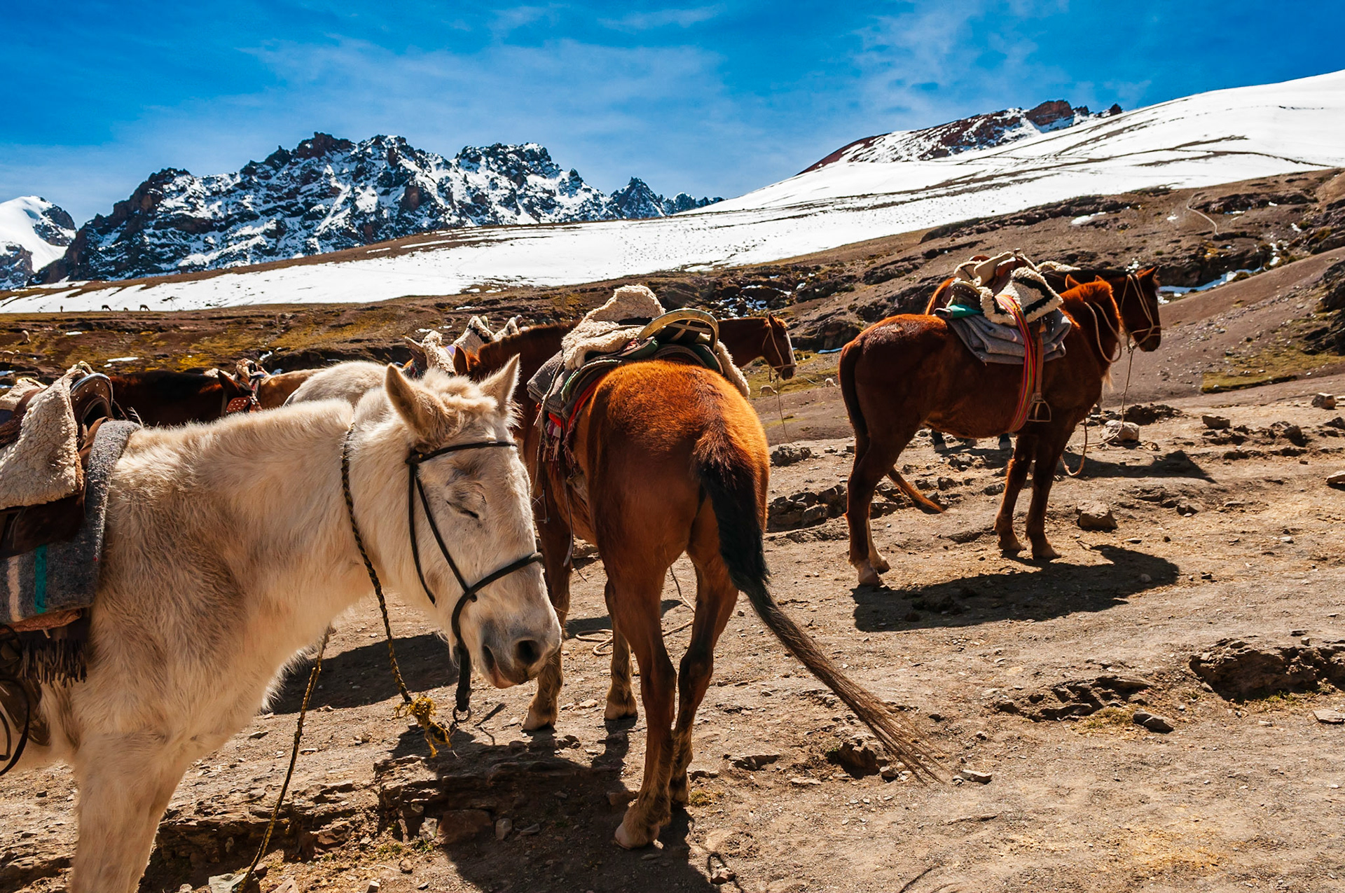 Rainbow Mountain, Vinicunca