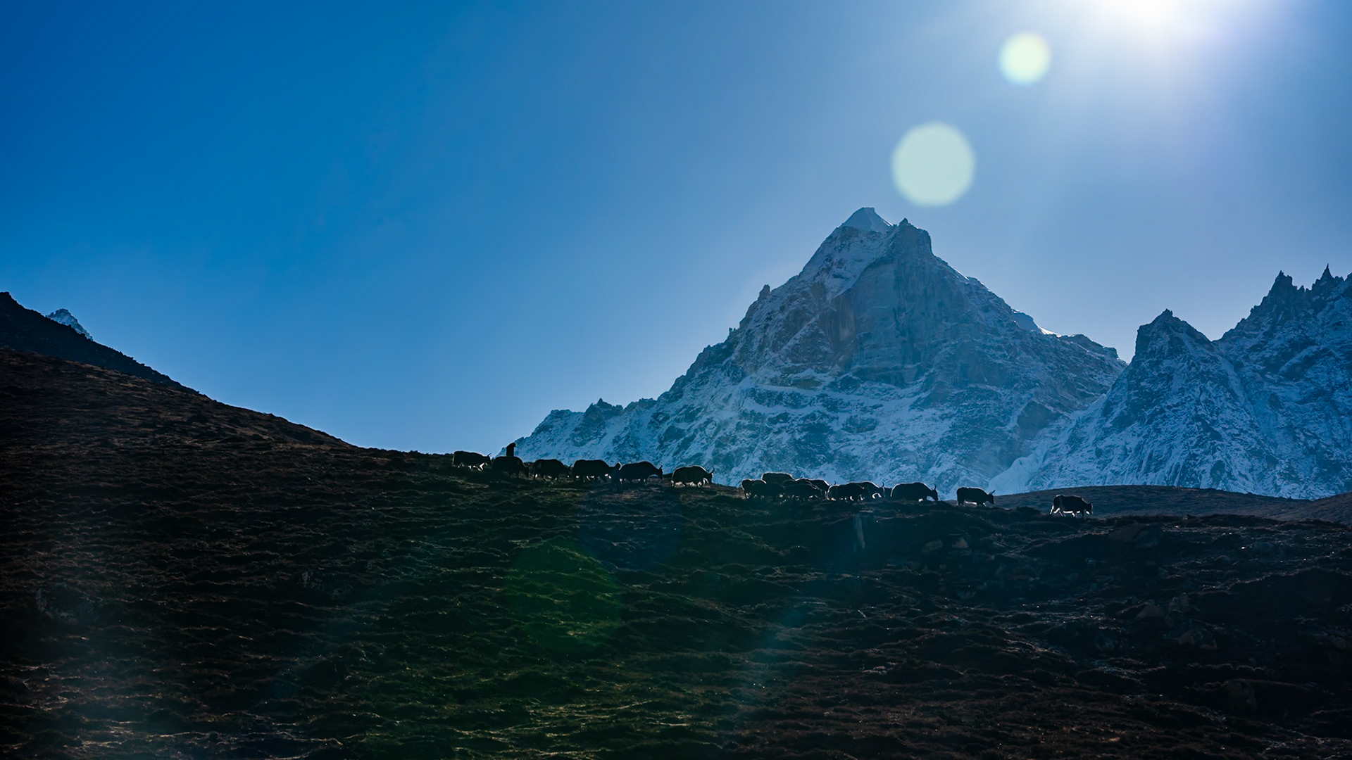 Day 9 - Lumden (4'370 m) to Namche Bazaar (3'446 m)