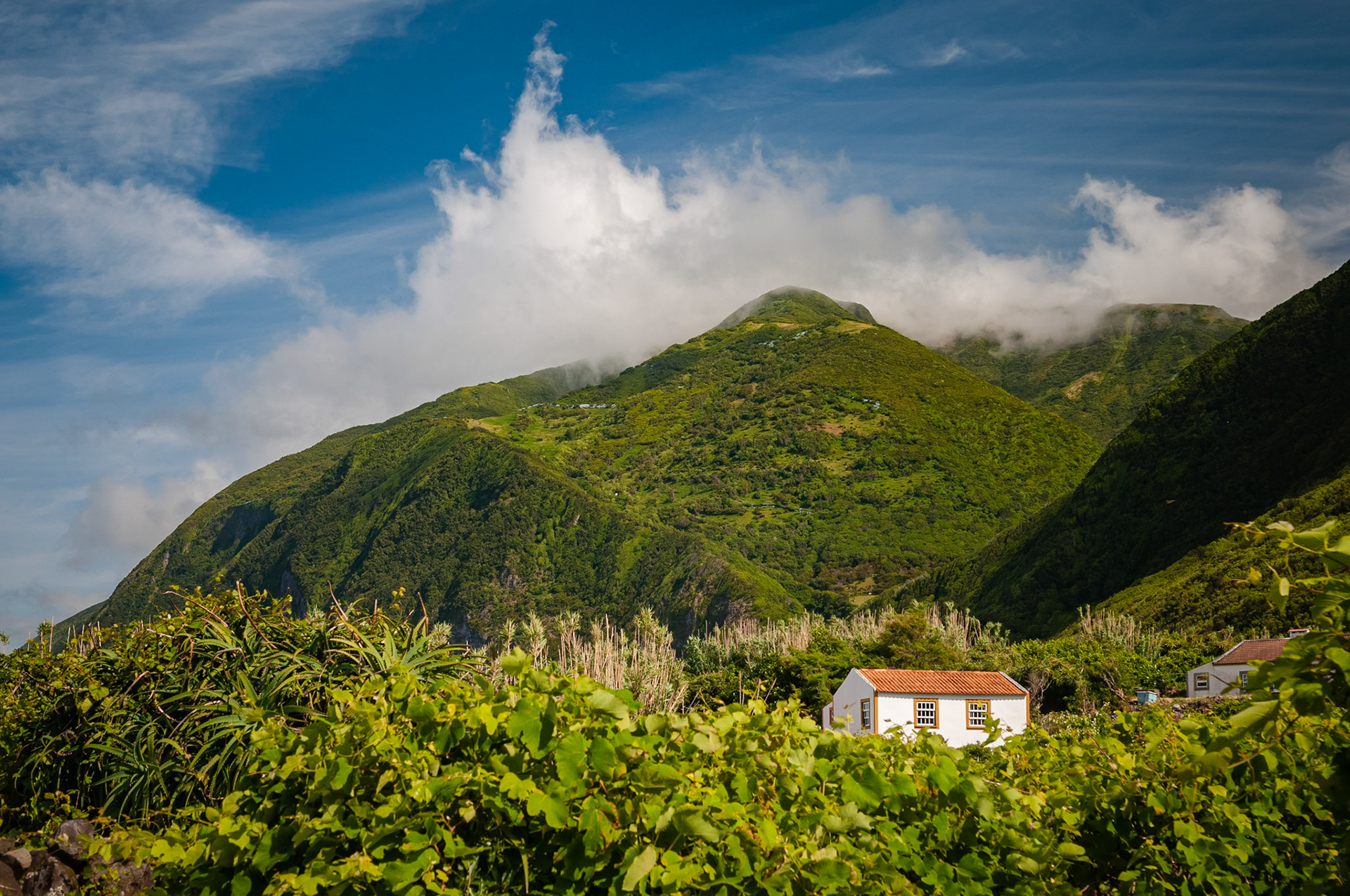 Fajã da Caldeira de Santo Cristo, São Jorge