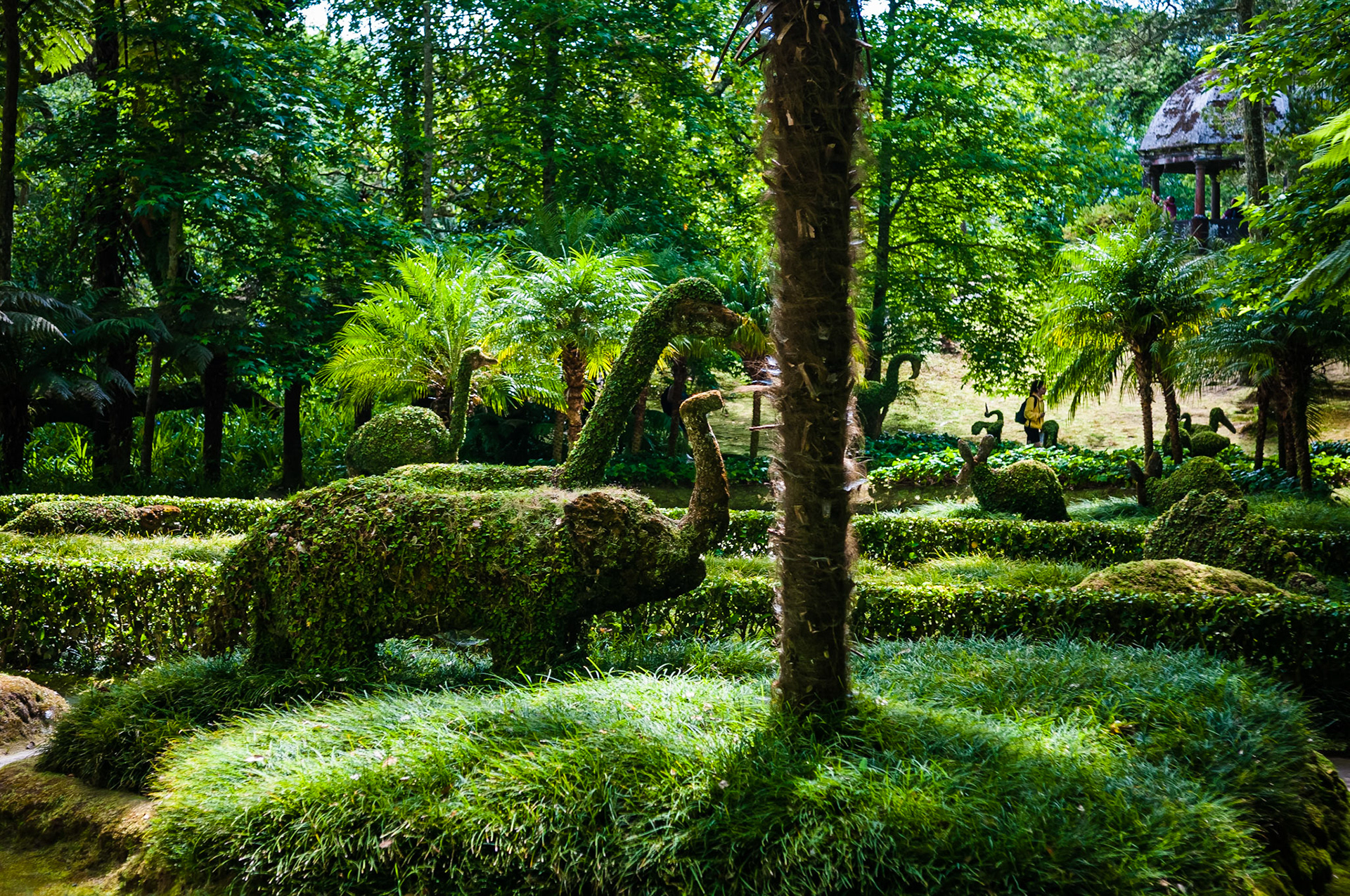 Parc Terra Nostra, Furnas, São Miguel
