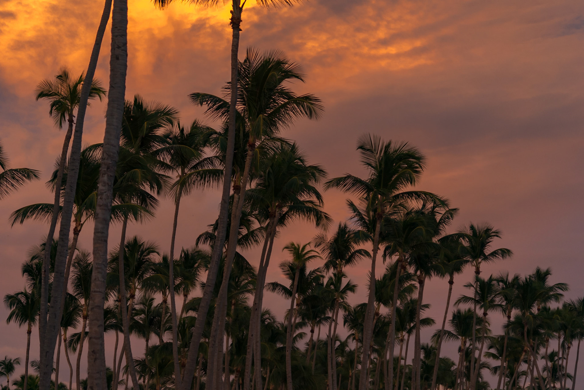Club Med Punta Cana, République Dominicaine