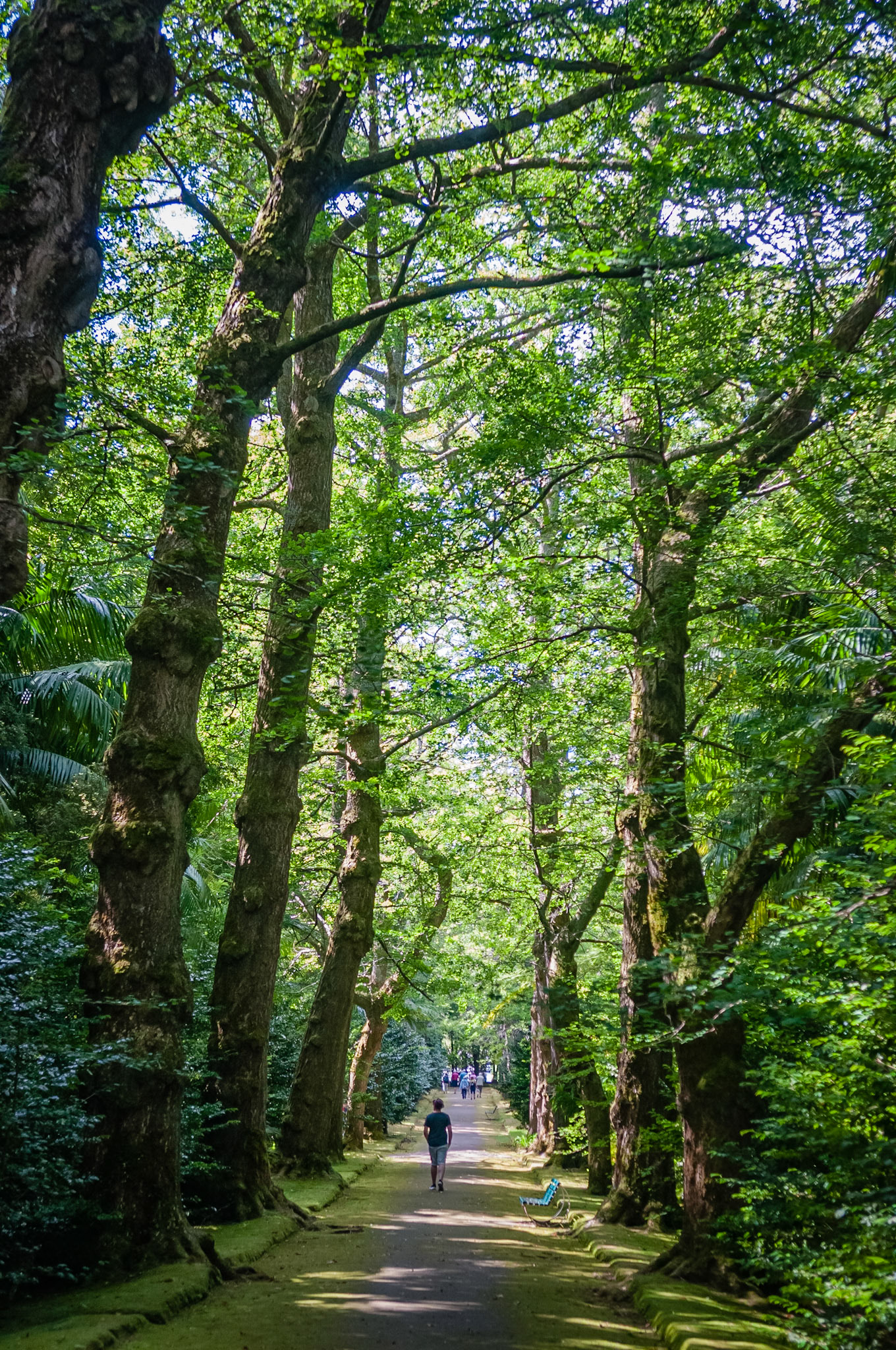Parc Terra Nostra, Furnas, São Miguel