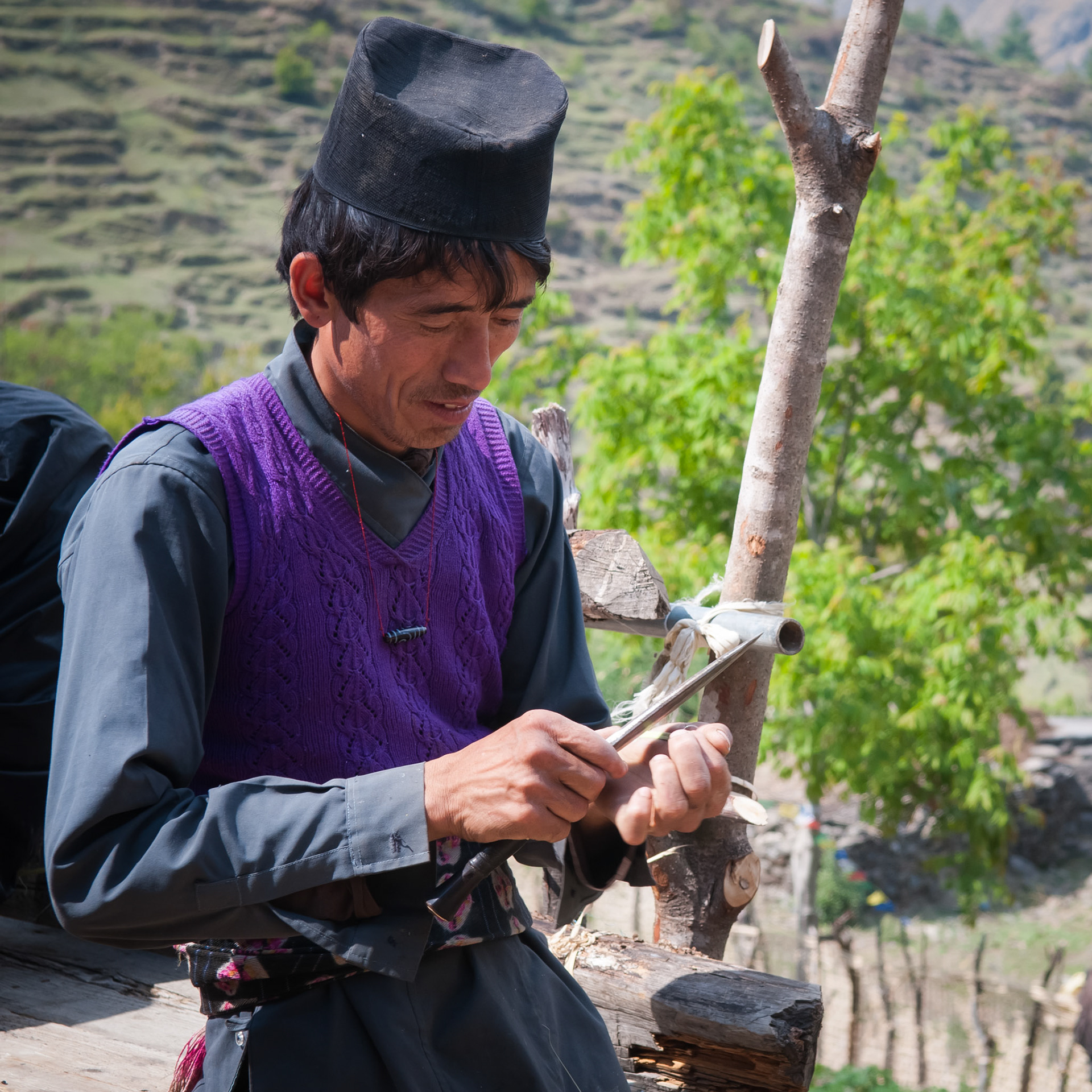 Entre Lama Hotel (2410m) et Thulo Syabru (2210m)