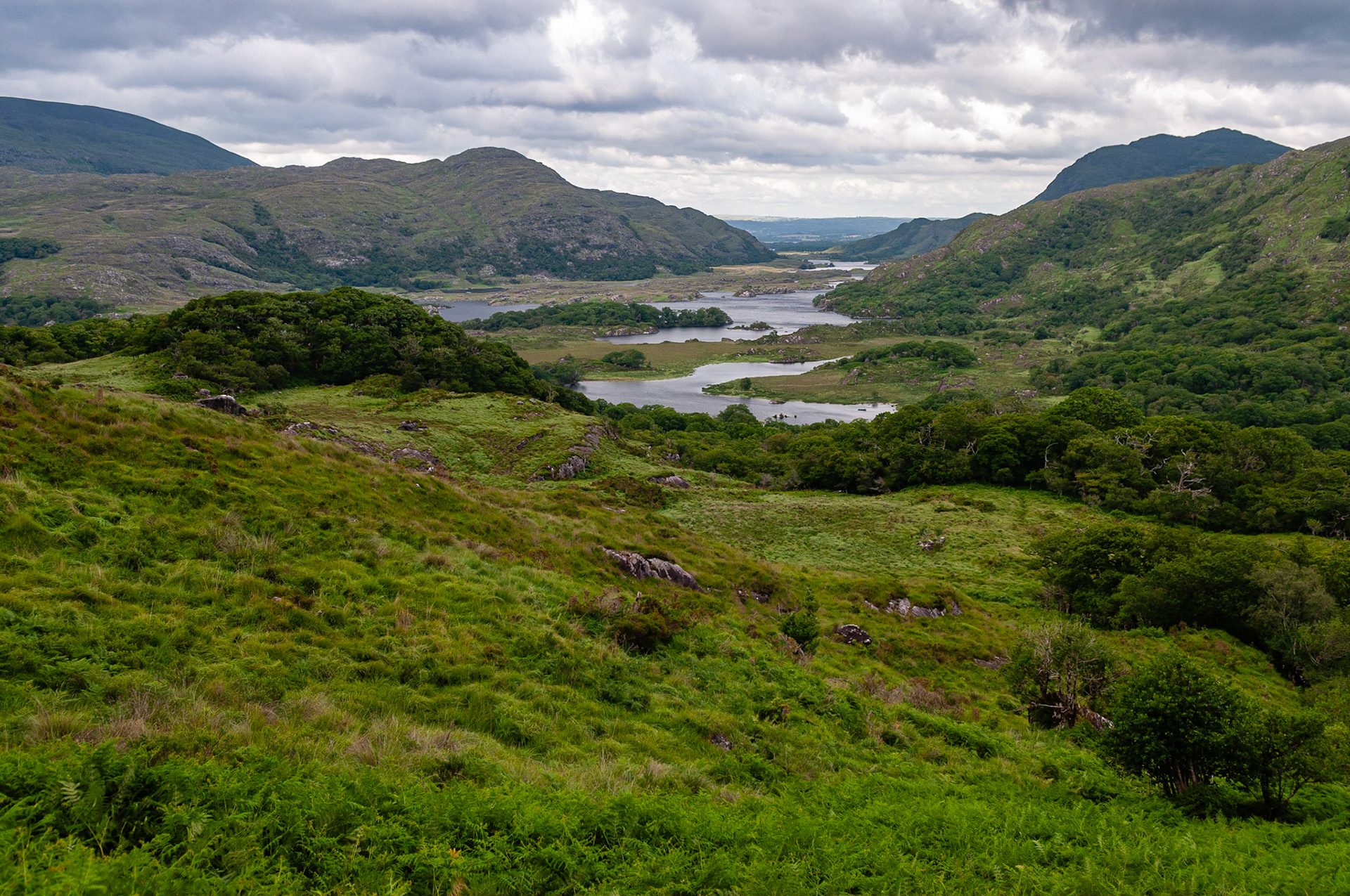 Killarney National Park, County Kerry