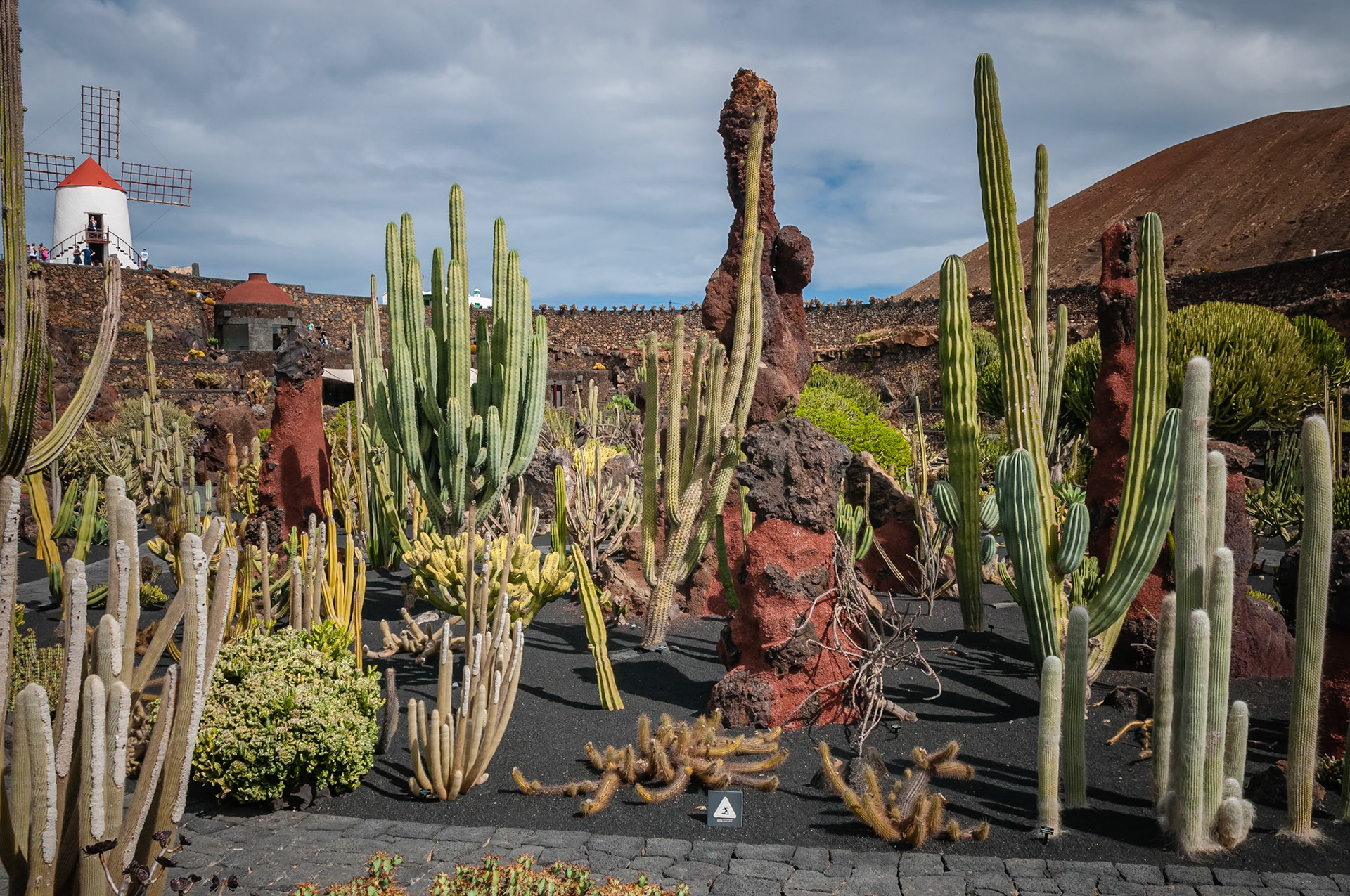 Jardin de Cactus, Lanzarote