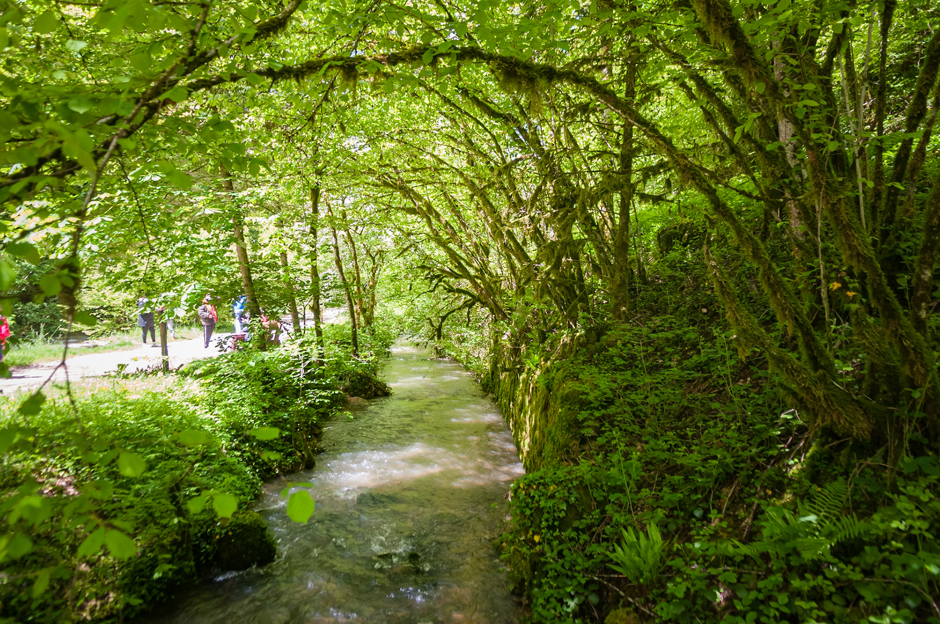 Source du Lison, France