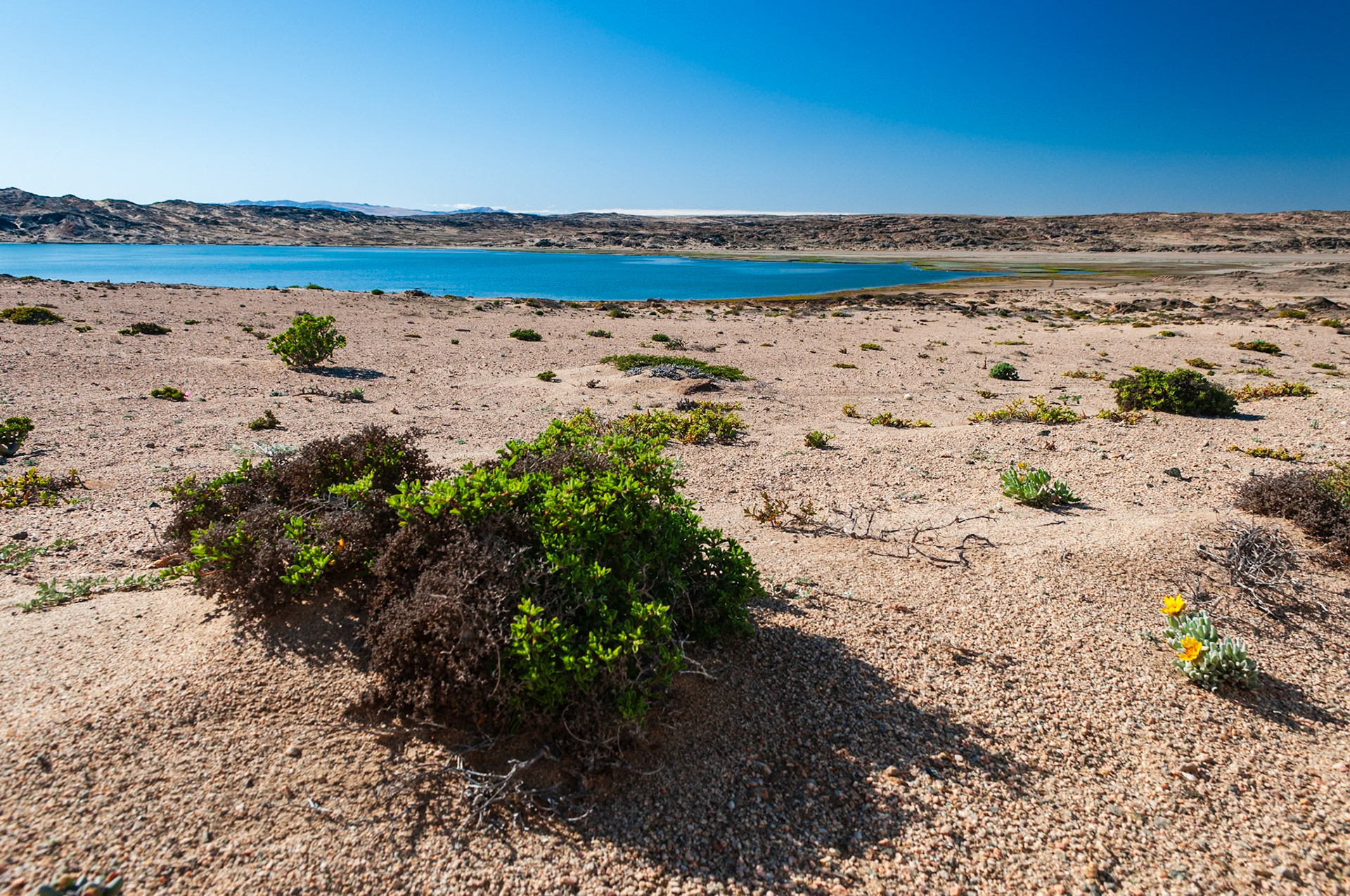 Tsau Khaeb National Park, Lüderitz