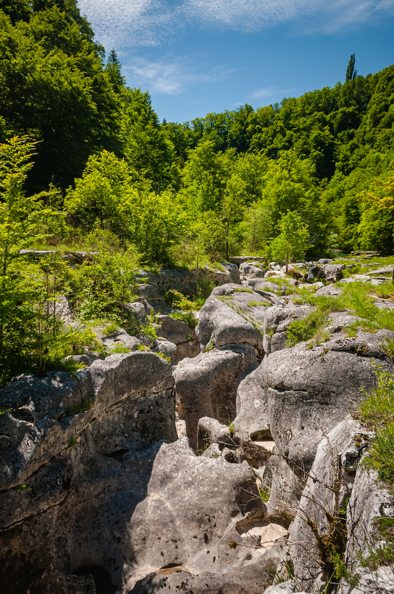Les pertes de la Valserine, France