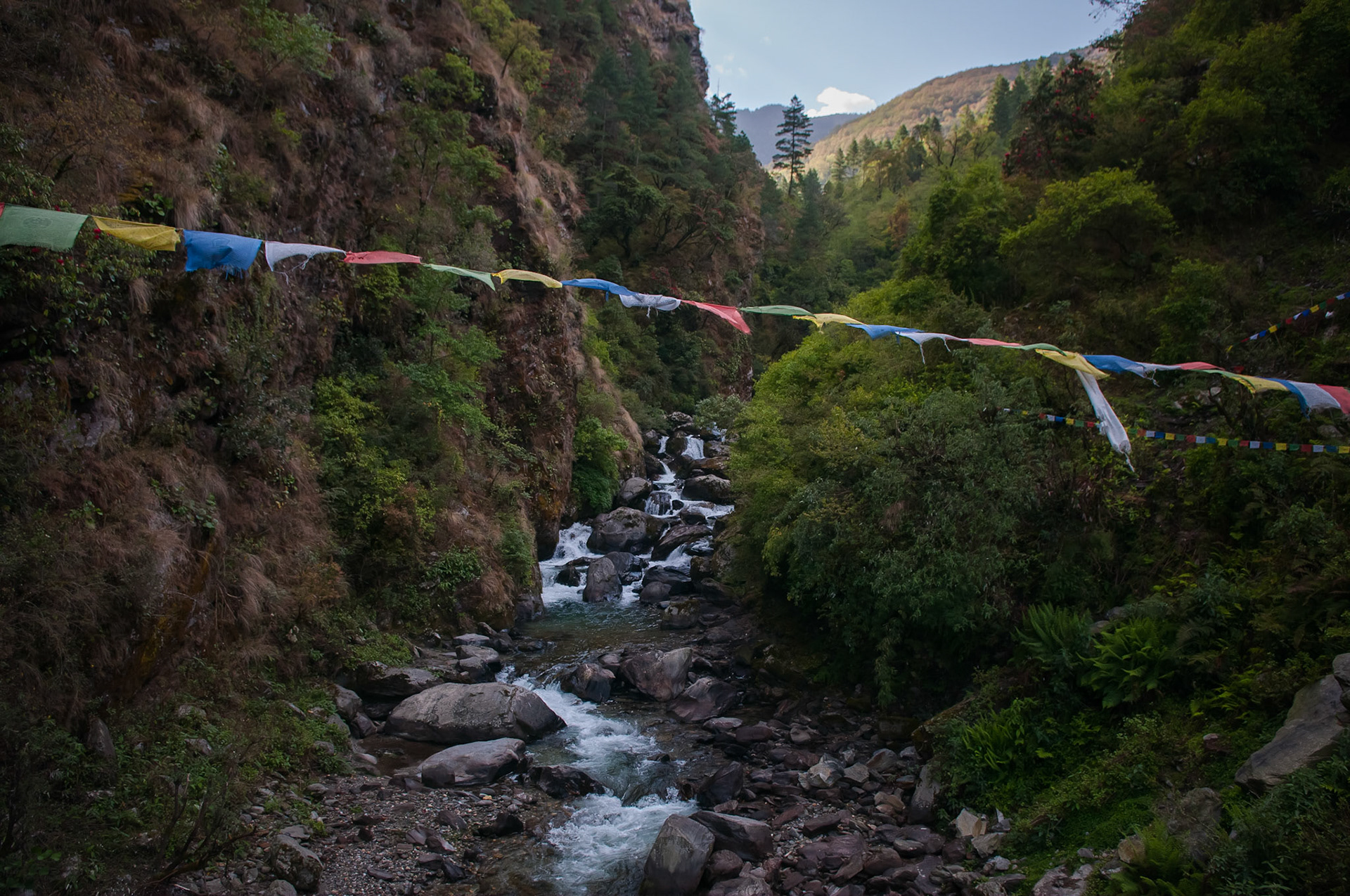 Entre Dhunche (1960m) et Thulo Syabru (2210m)