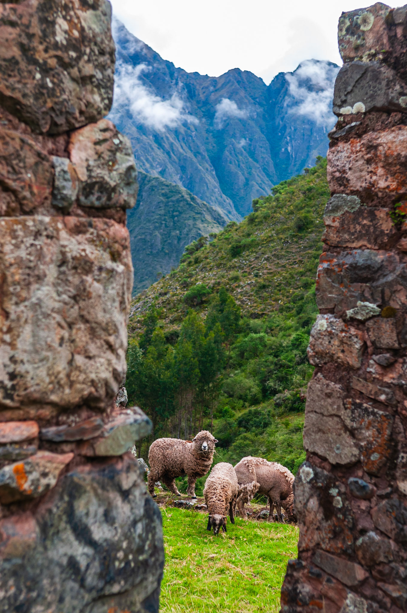 Salcantay Trek, Camp de Base 2