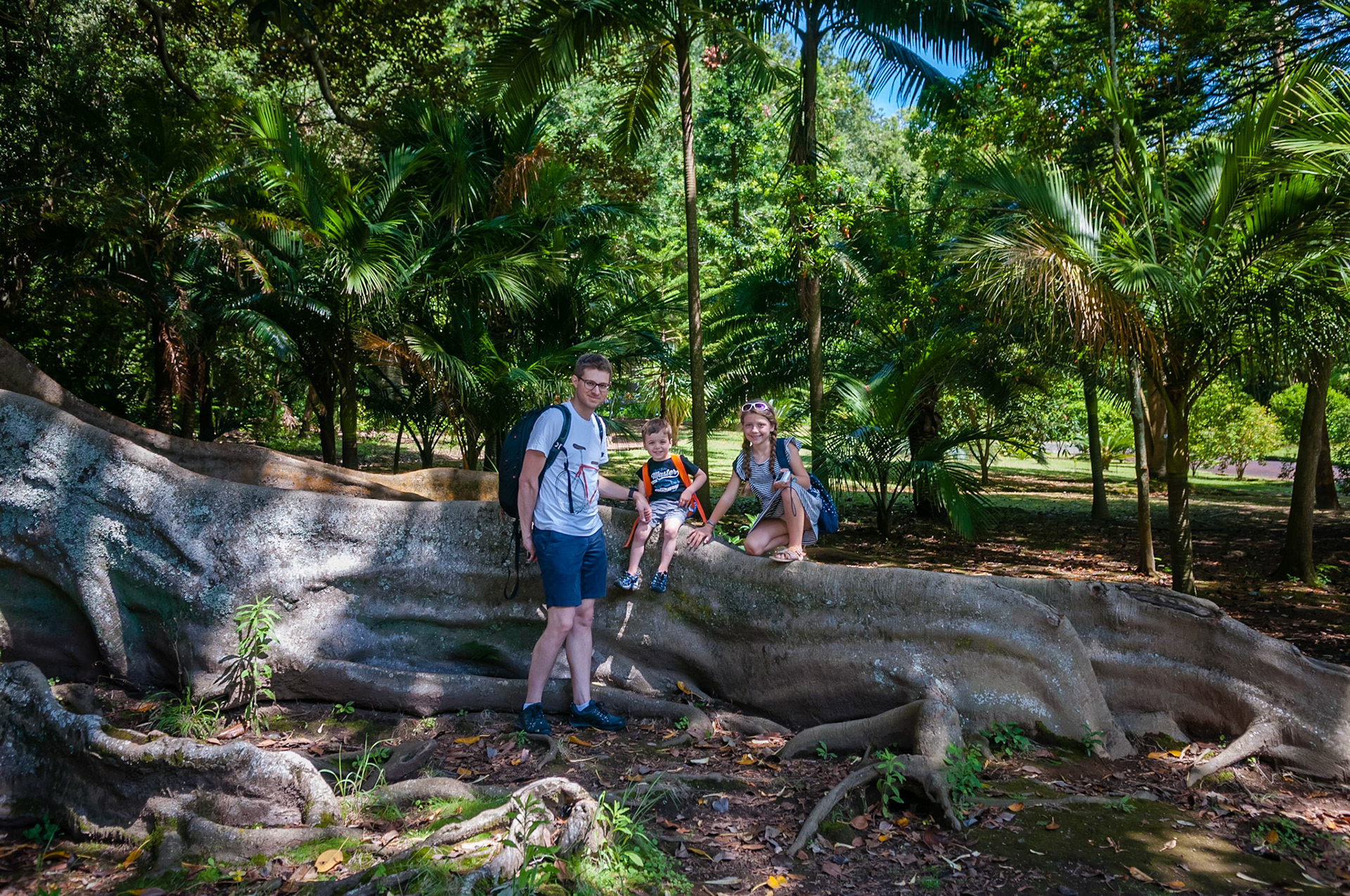 Jardim José do Canto, Ponta Delgada, São Miguel