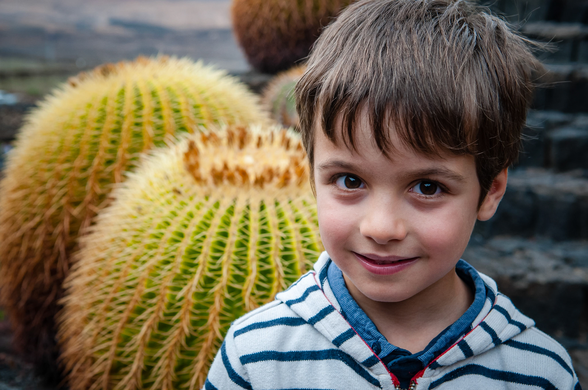 Jardin de Cactus, Lanzarote